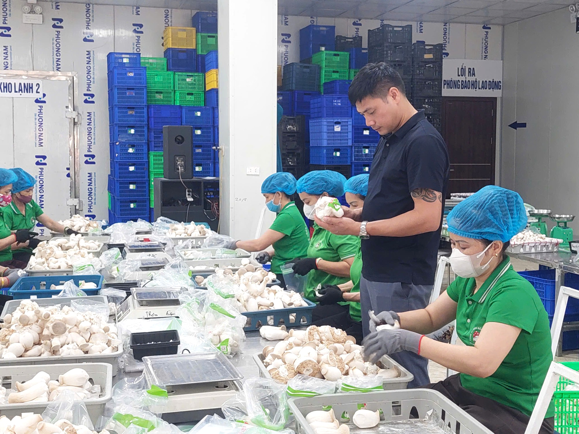 Ph&uacute; Thọ: Khoa học c&ocirc;ng nghệ n&acirc;ng gi&aacute; trị n&ocirc;ng sản, tăng thu nhập cho n&ocirc;ng d&acirc;n - Ảnh 1.
