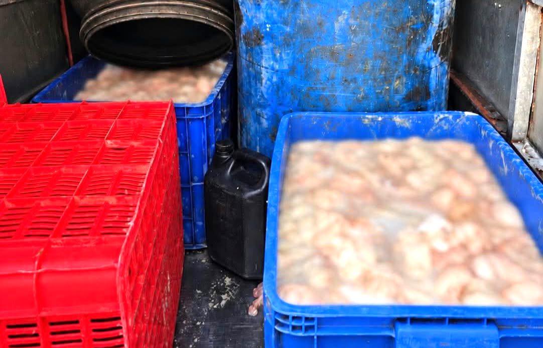 Ph&uacute; Thọ: Ph&aacute;t hiện &ocirc; t&ocirc; chở hơn 800 kg l&ograve;ng lợn bốc m&ugrave;i h&ocirc;i thối- Ảnh 2.