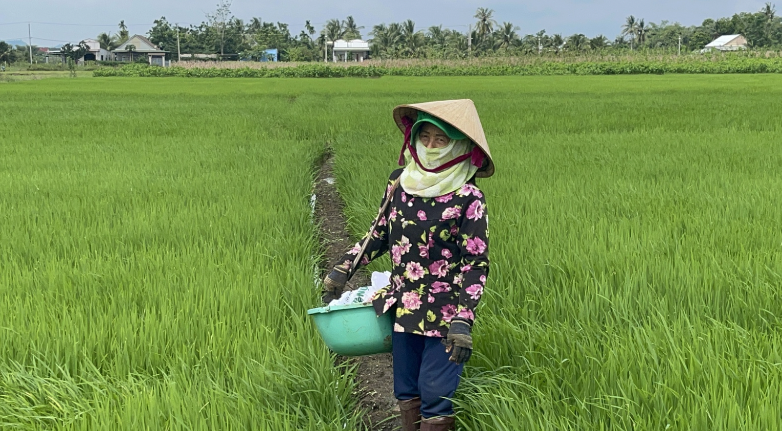 Đồng Nai tăng tốc đưa 6 x&atilde; về đ&iacute;ch n&ocirc;ng th&ocirc;n mới trong năm 2026- Ảnh 5.