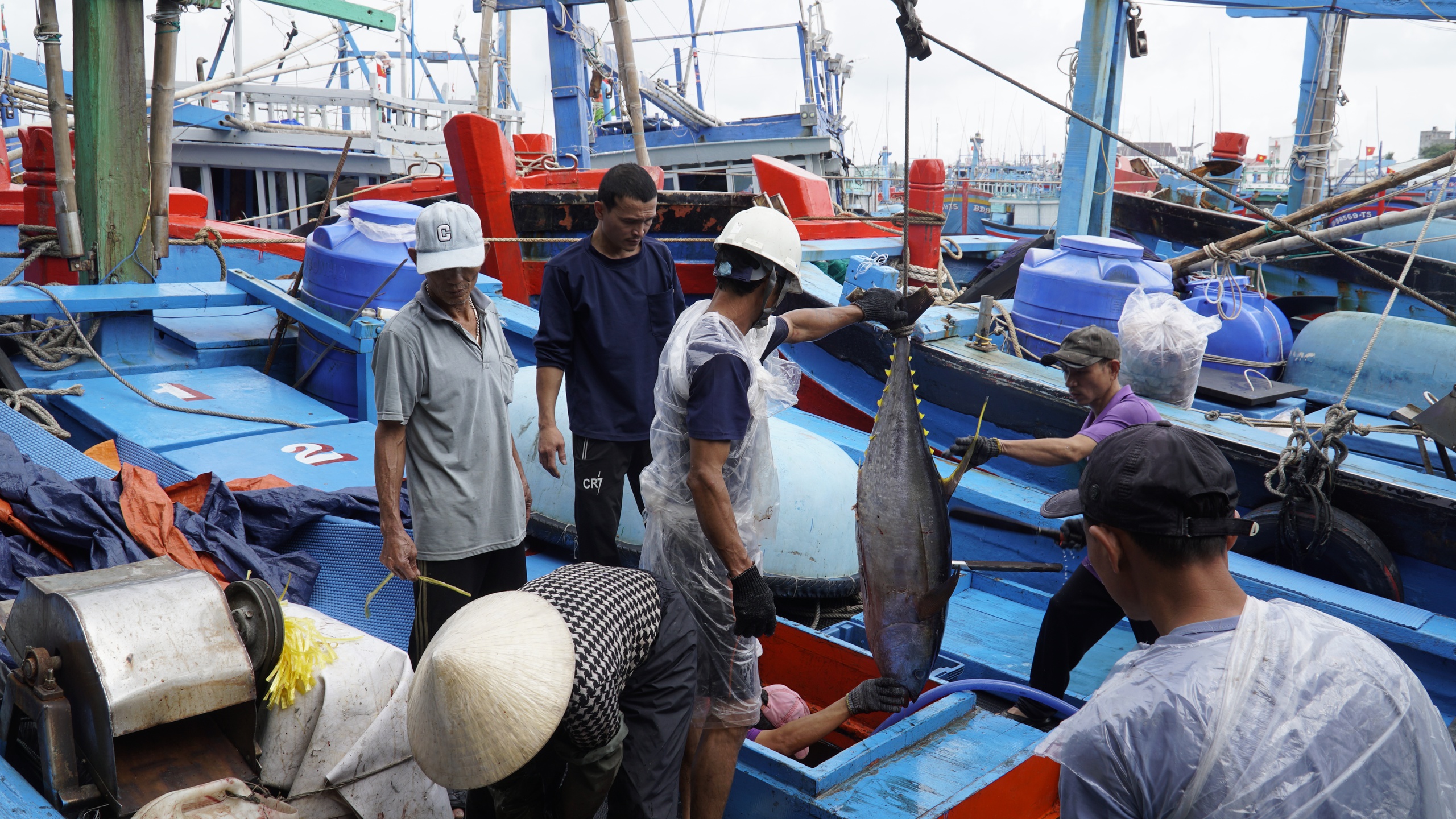 "Lộc biển" đầu năm, t&agrave;u c&aacute; Gia Lai nối nhau b&aacute;m ngư trường cận Tết- Ảnh 2.