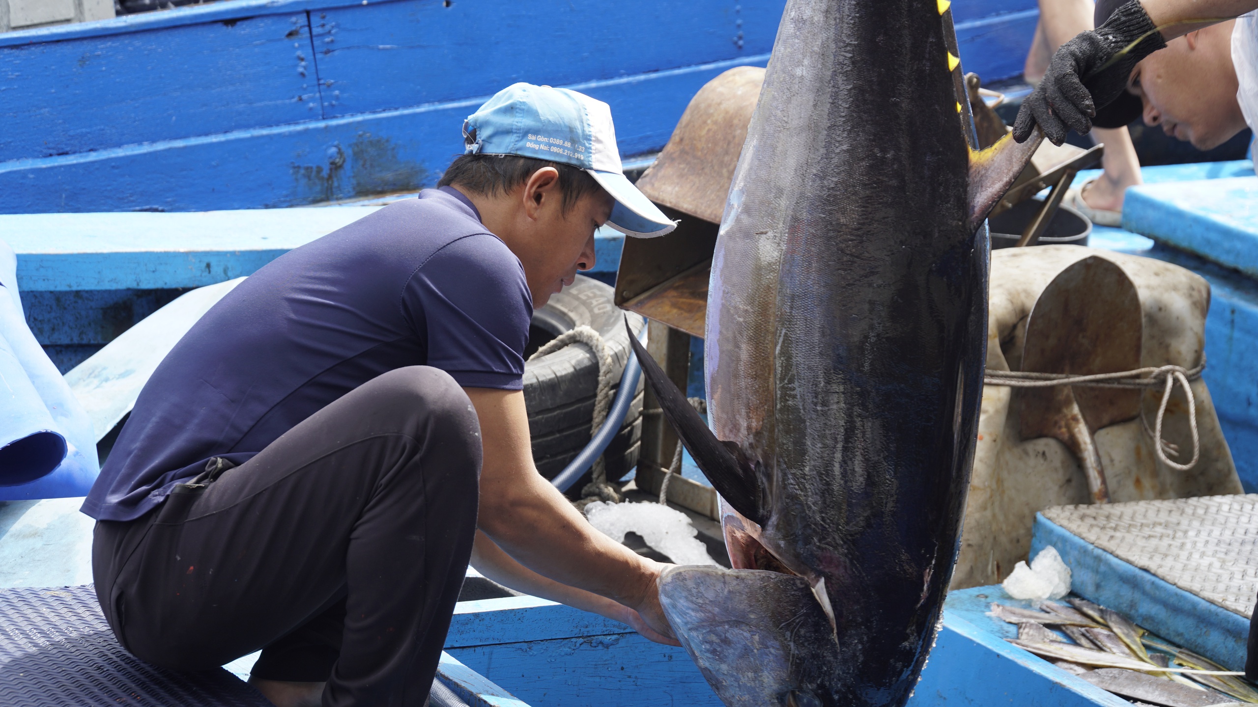 "Lộc biển" đầu năm, t&agrave;u c&aacute; Gia Lai nối nhau b&aacute;m ngư trường cận Tết- Ảnh 6.