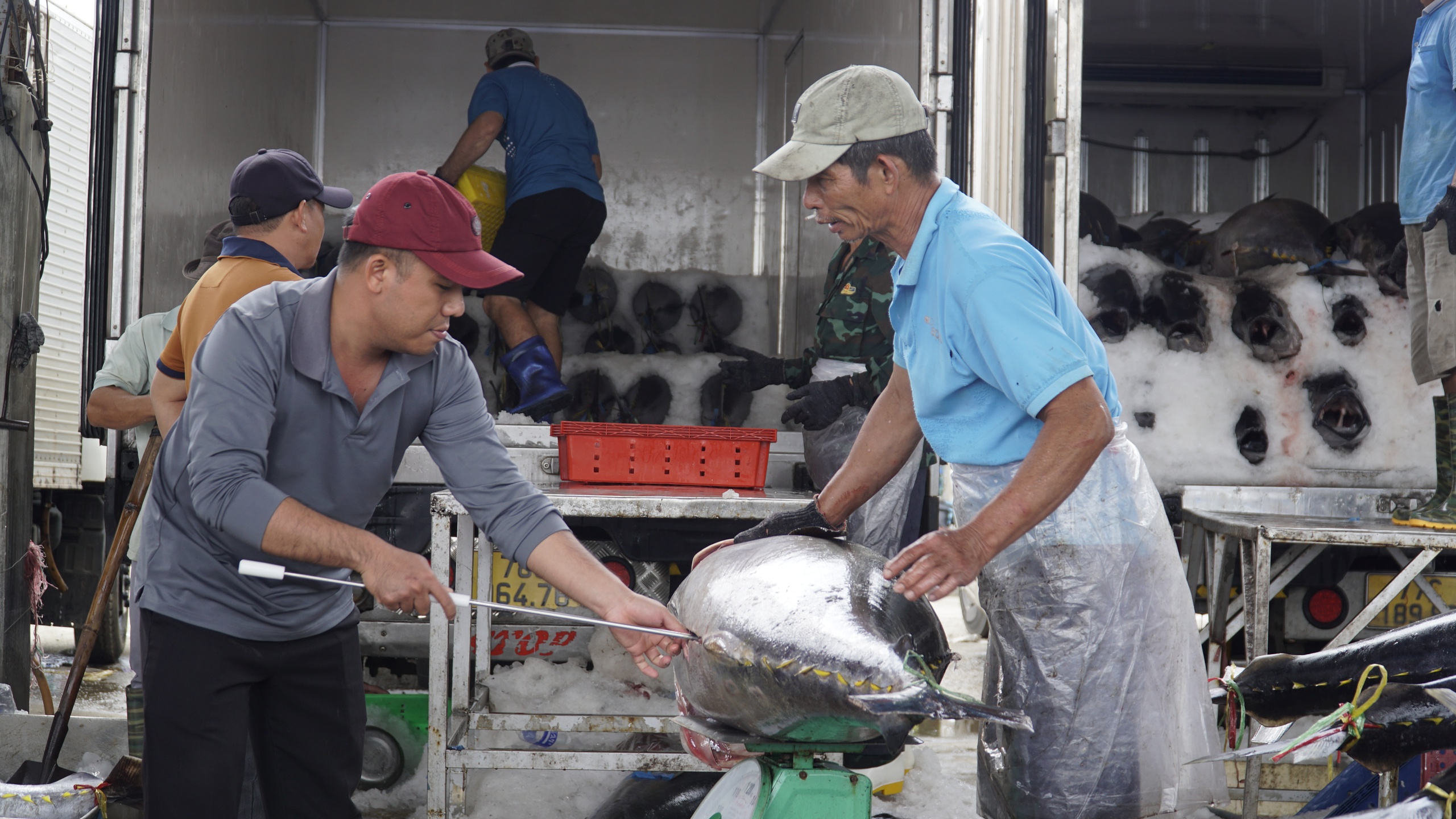 "Lộc biển" đầu năm, t&agrave;u c&aacute; Gia Lai nối nhau b&aacute;m ngư trường cận Tết- Ảnh 8.