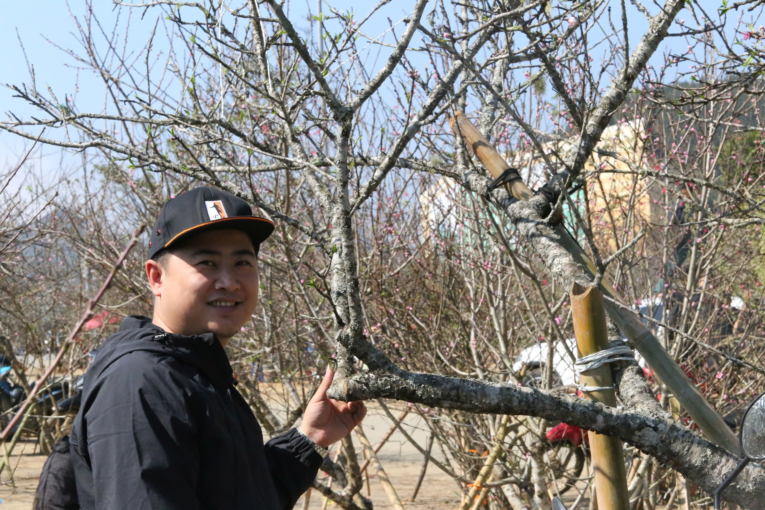 Đ&agrave;o, mận trắng v&ugrave;ng cao Sơn La tấp nập xuống phố- Ảnh 14.