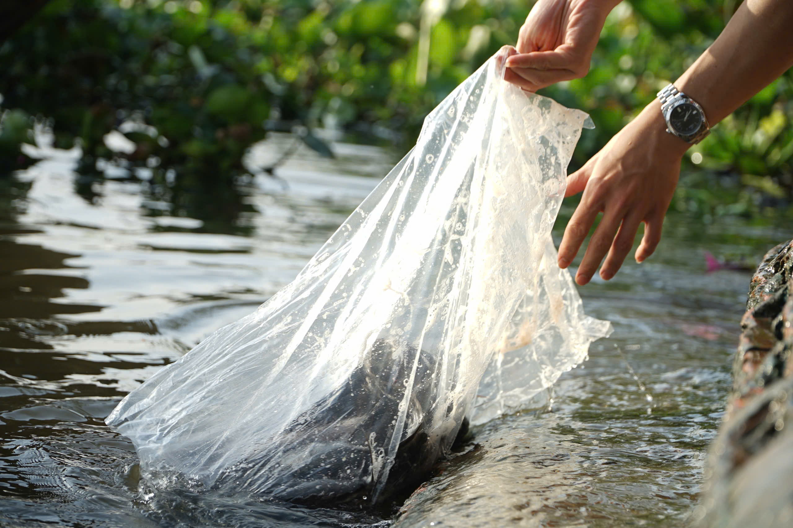 TP.HCM: Nhộn nhịp không khí ngày "đưa ông Công, ông Táo"- Ảnh 15. TP.HCM: Nhộn nhịp không khí ngày "đưa ông Công, ông Táo"- Ảnh 15.