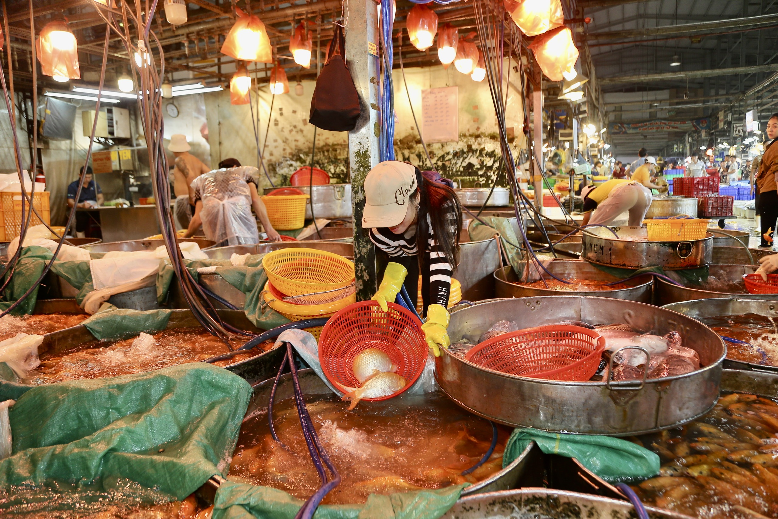 TP.HCM: Nhộn nhịp không khí ngày "đưa ông Công, ông Táo"- Ảnh 1. TP.HCM: Nhộn nhịp không khí ngày "đưa ông Công, ông Táo"- Ảnh 1.