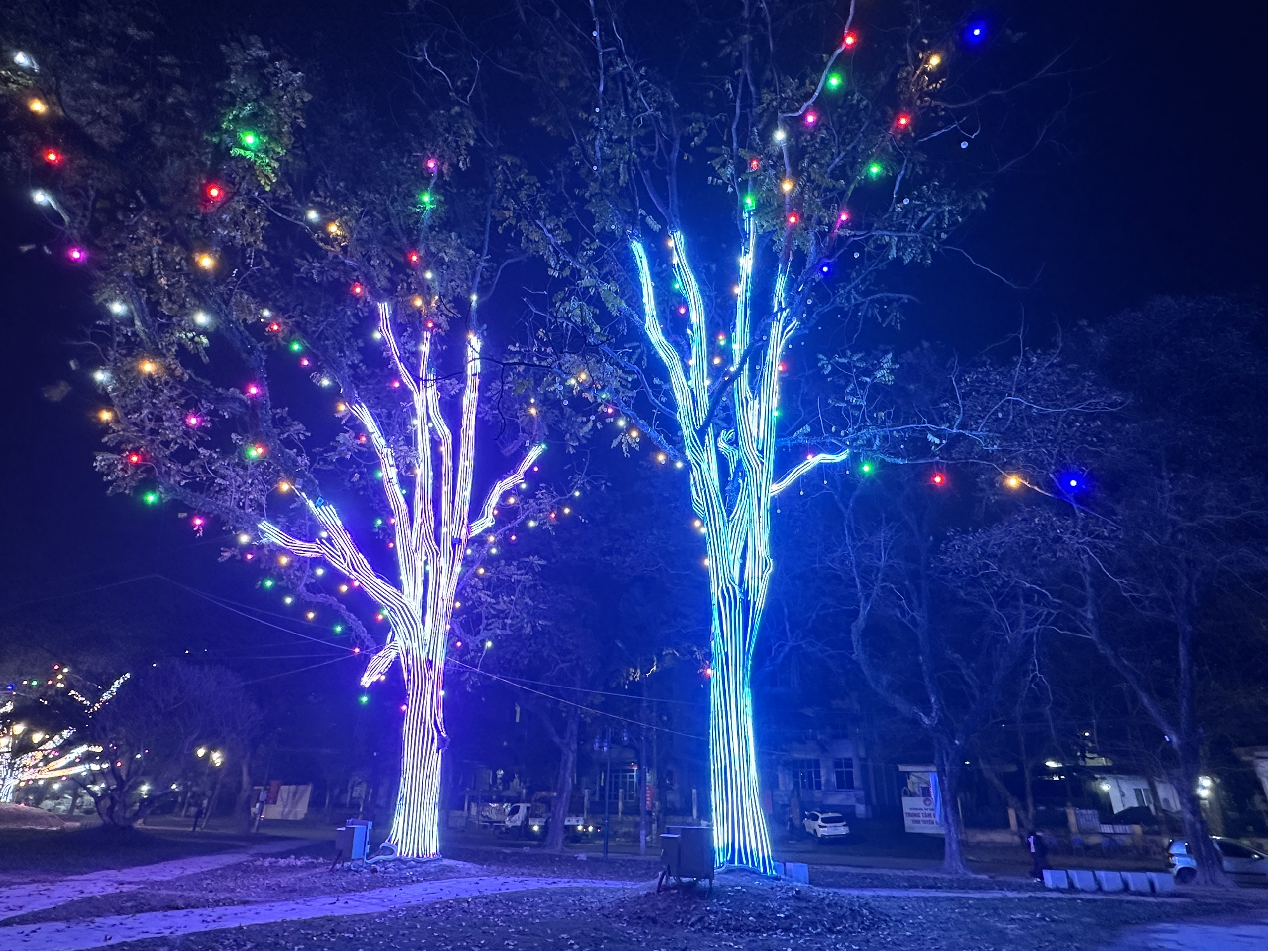 Tuy&ecirc;n Quang chỉnh trang đ&ocirc; thị đ&oacute;n Xu&acirc;n 2026- Ảnh 7.