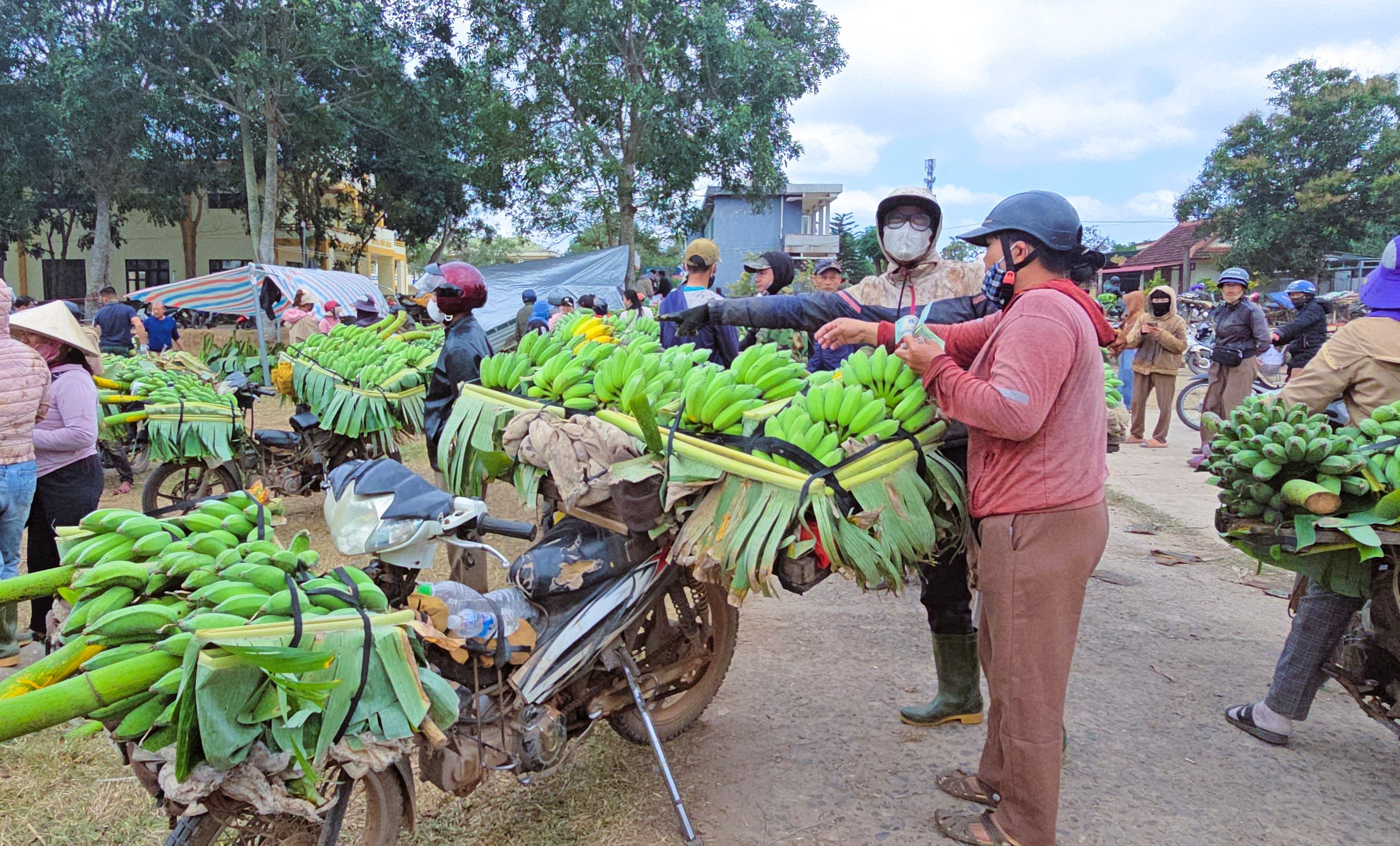 Nhộn nhịp chợ chuối lớn nhất miền Trung cận Tết, kh&ocirc;ng b&aacute;n lẻ từng buồng- Ảnh 7.
