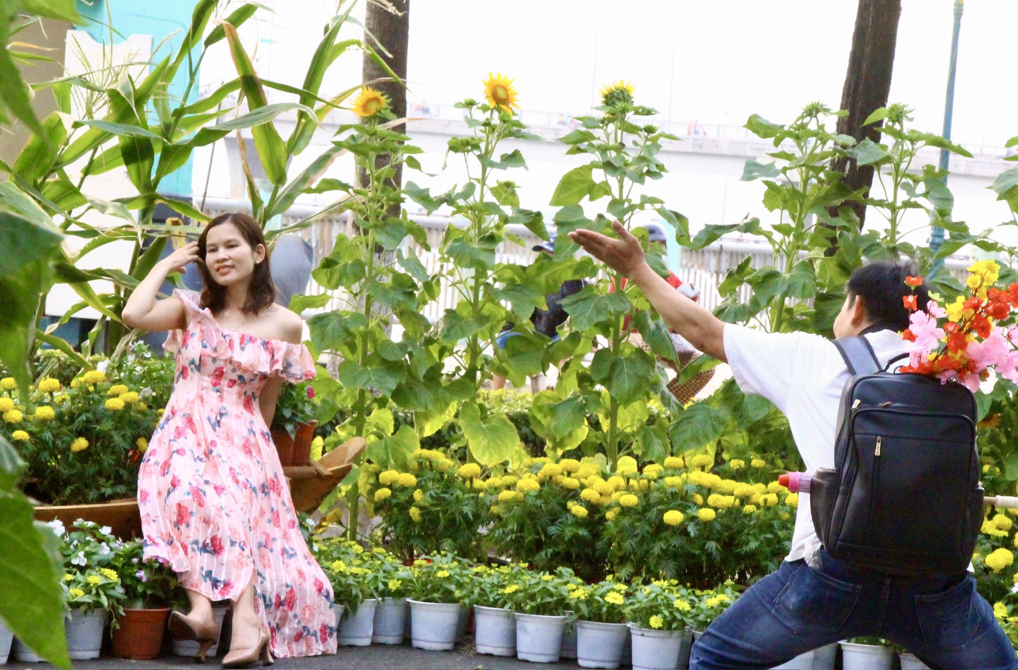 Đường hoa ven s&ocirc;ng Đồng Nai rực rỡ sắc Xu&acirc;n, điểm check-in Tết- Ảnh 7.