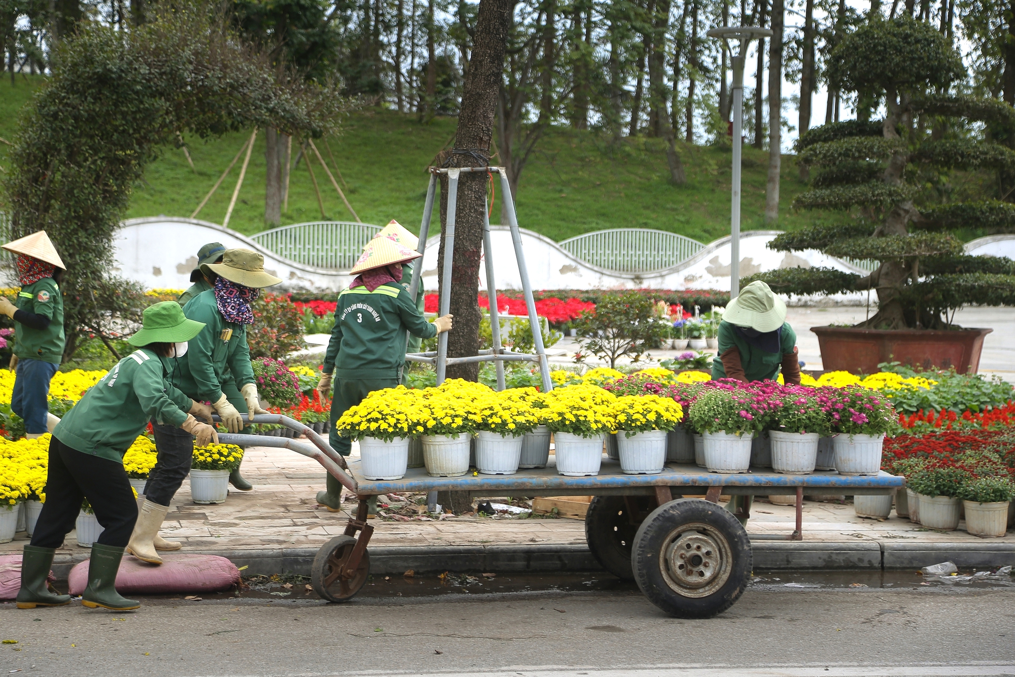 Nghệ An: Người d&acirc;n đua nhau check-in với đường hoa xu&acirc;n v&agrave; linh vật ngựa v&agrave;ng- Ảnh 11.
