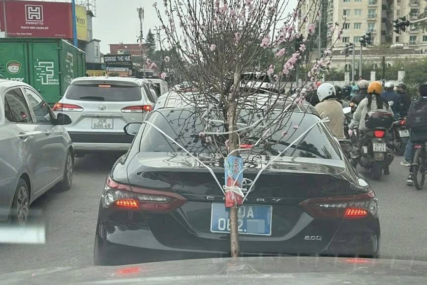 T&agrave;i xế &ocirc; t&ocirc; biển xanh buộc c&agrave;nh đ&agrave;o che biển số bị phạt 23 triệu đồng, trừ điểm bằng l&aacute;i- Ảnh 1.