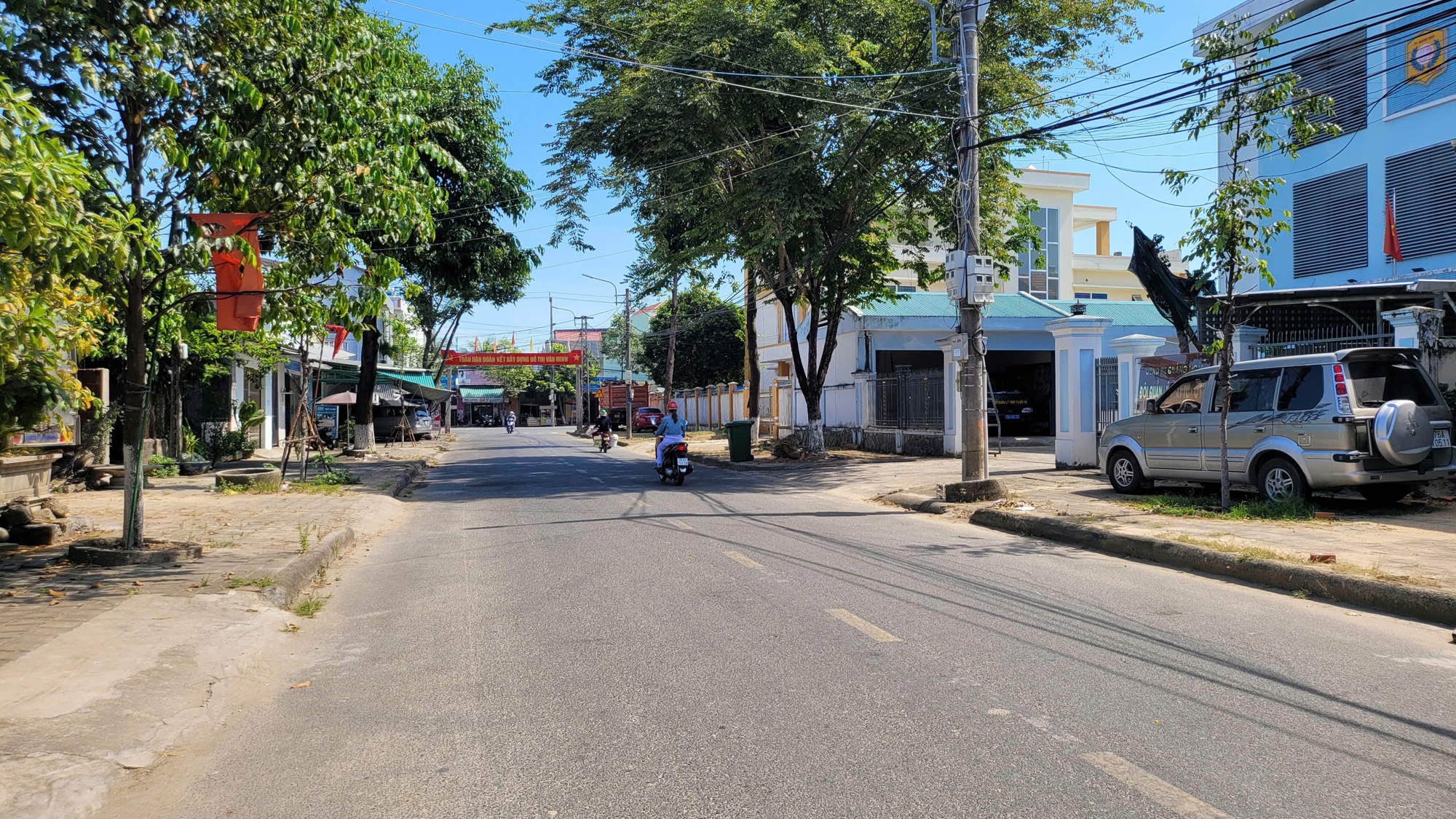 Quảng Ng&atilde;i: Cấp x&atilde; cấp giấy ph&eacute;p chặt hạ, dịch chuyển c&acirc;y xanh- Ảnh 1.