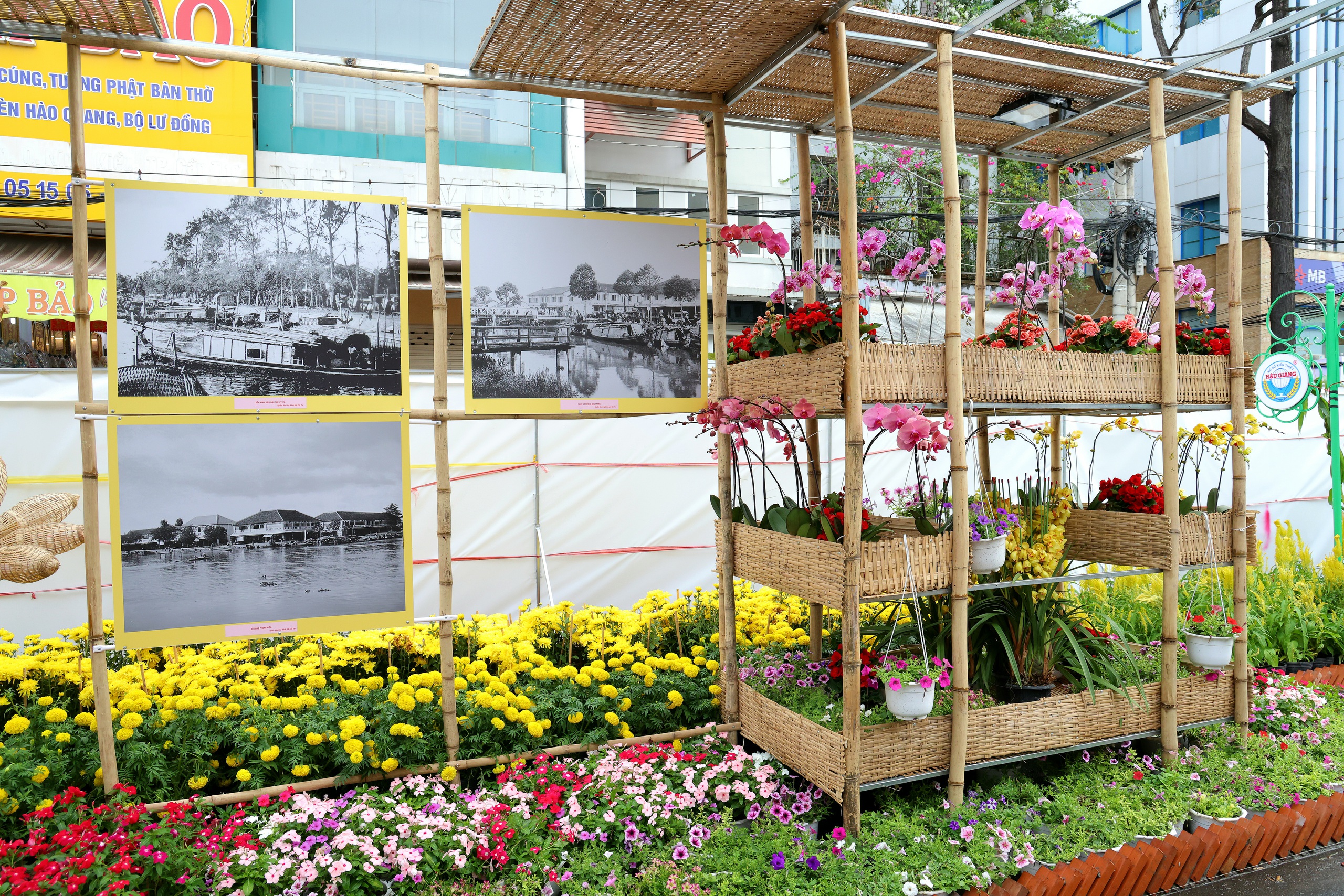 Đường hoa 310m rực rỡ khai hội xuân Bính Ngọ 2026 ở Cần Thơ- Ảnh 9. Đường hoa 310m rực rỡ khai hội xuân Bính Ngọ 2026 ở Cần Thơ- Ảnh 9.