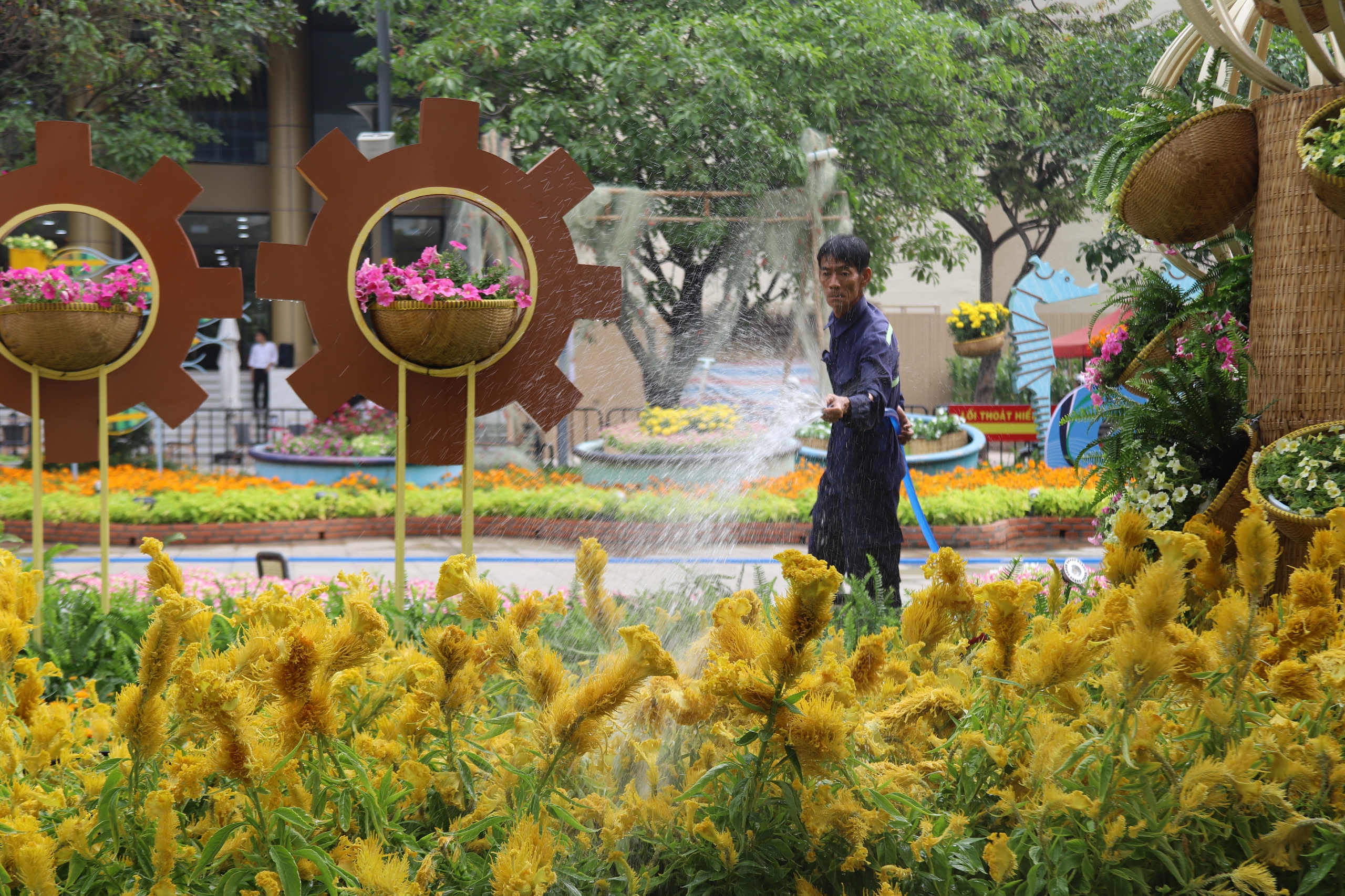 Cận cảnh đường hoa Nguyễn Huệ ở TP.HCM trước giờ khai mạc- Ảnh 4. Cận cảnh đường hoa Nguyễn Huệ ở TP.HCM trước giờ khai mạc- Ảnh 4.