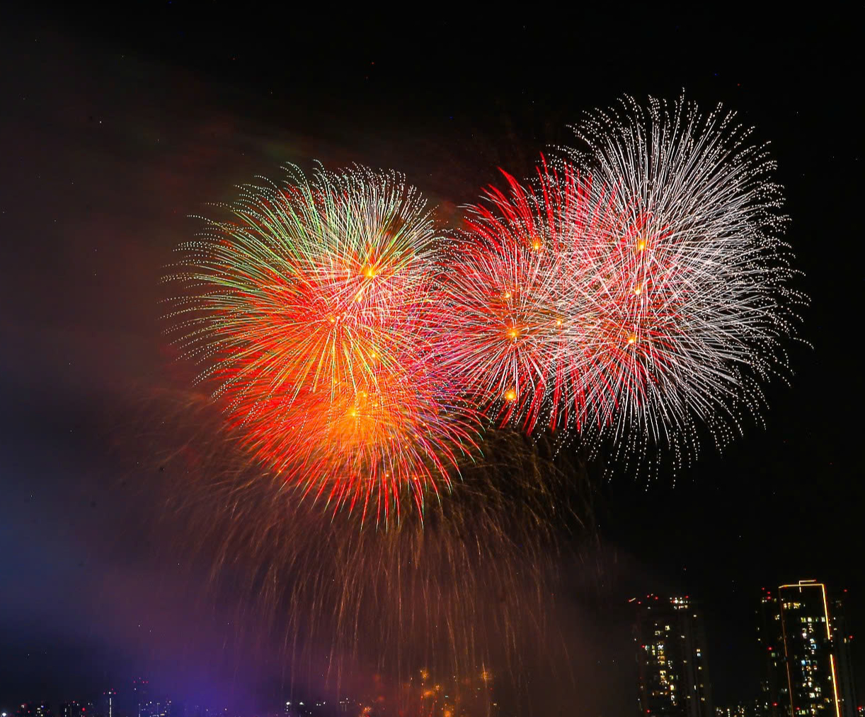 M&atilde;n nh&atilde;n ph&aacute;o hoa ch&agrave;o năm mới B&iacute;nh Ngọ 2026 tại TP.HCM v&agrave; c&aacute;c tỉnh ph&iacute;a Nam- Ảnh 8.