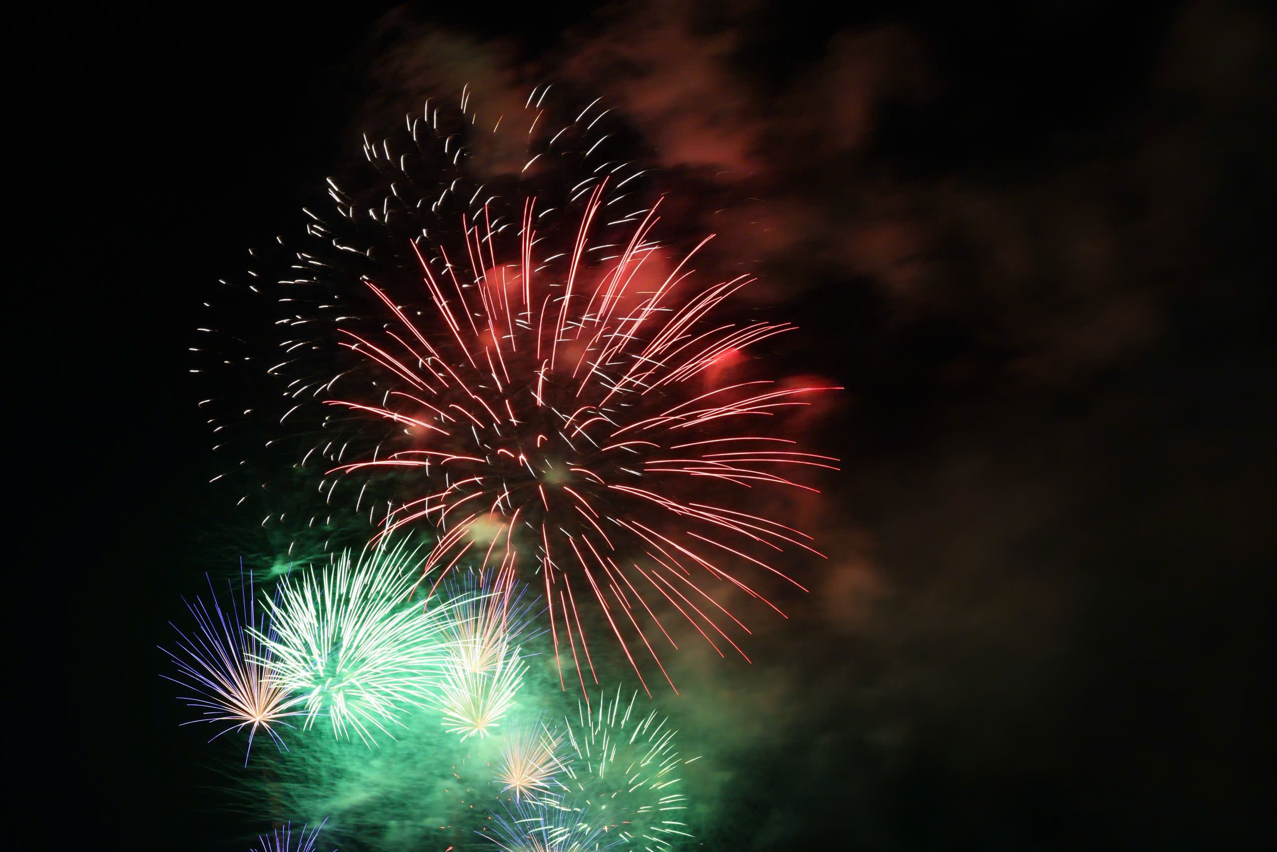 M&atilde;n nh&atilde;n ph&aacute;o hoa ch&agrave;o năm mới B&iacute;nh Ngọ 2026 tại TP.HCM v&agrave; c&aacute;c tỉnh ph&iacute;a Nam- Ảnh 11.