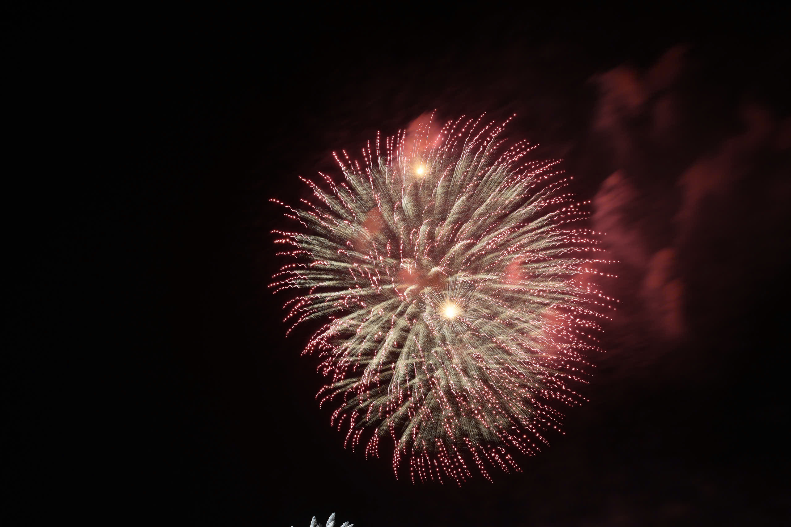 M&atilde;n nh&atilde;n ph&aacute;o hoa ch&agrave;o năm mới B&iacute;nh Ngọ 2026 tại TP.HCM v&agrave; c&aacute;c tỉnh ph&iacute;a Nam- Ảnh 14.