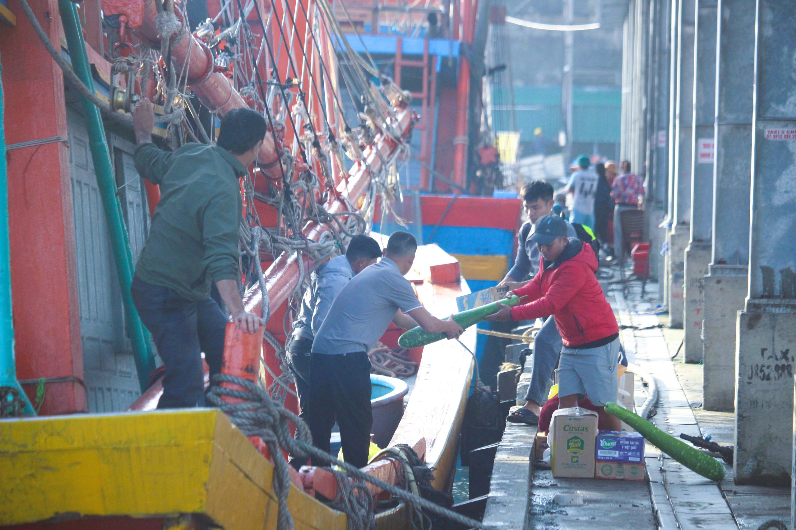 Ngư d&acirc;n Quảng Trị vươn khơi, khoang t&agrave;u đầy ắp &ldquo;lộc&rdquo; biển đầu năm- Ảnh 1.