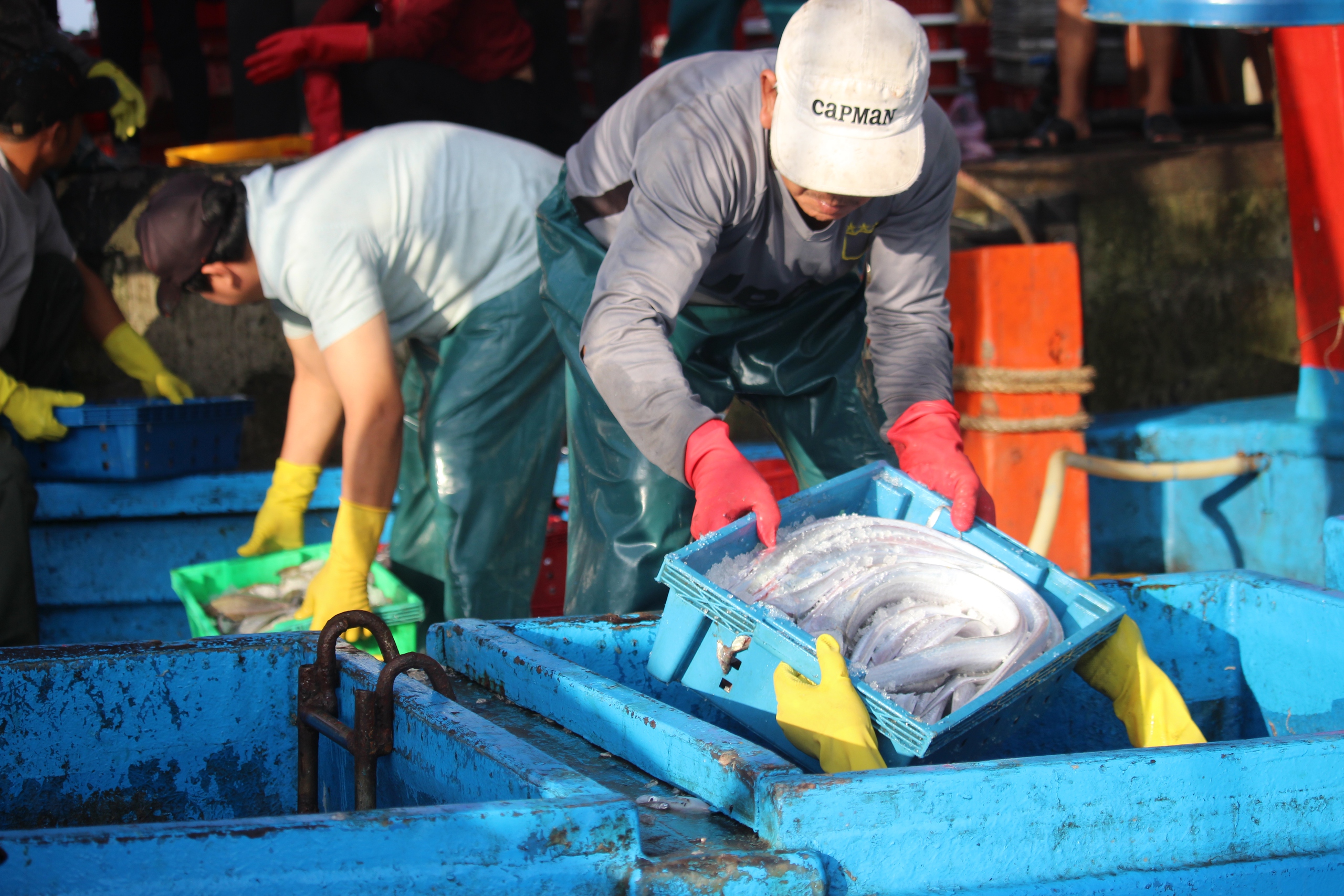 Ngư d&acirc;n Quảng Trị vươn khơi, khoang t&agrave;u đầy ắp &ldquo;lộc&rdquo; biển đầu năm- Ảnh 2.