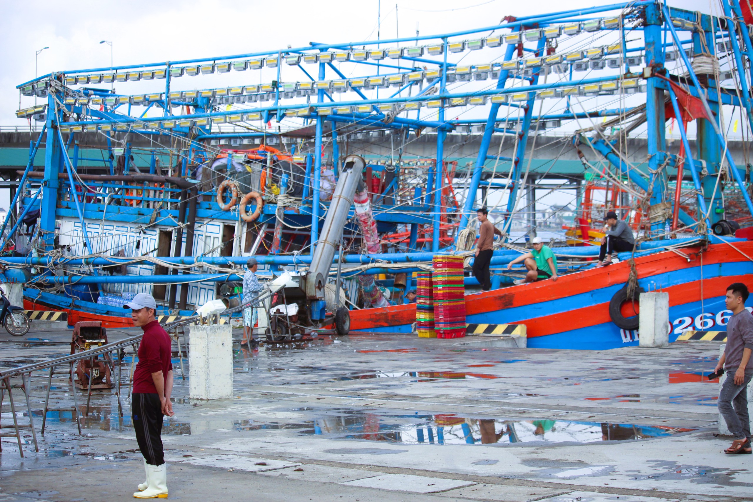 Ngư d&acirc;n Quảng Trị vươn khơi, khoang t&agrave;u đầy ắp &ldquo;lộc&rdquo; biển đầu năm- Ảnh 4.