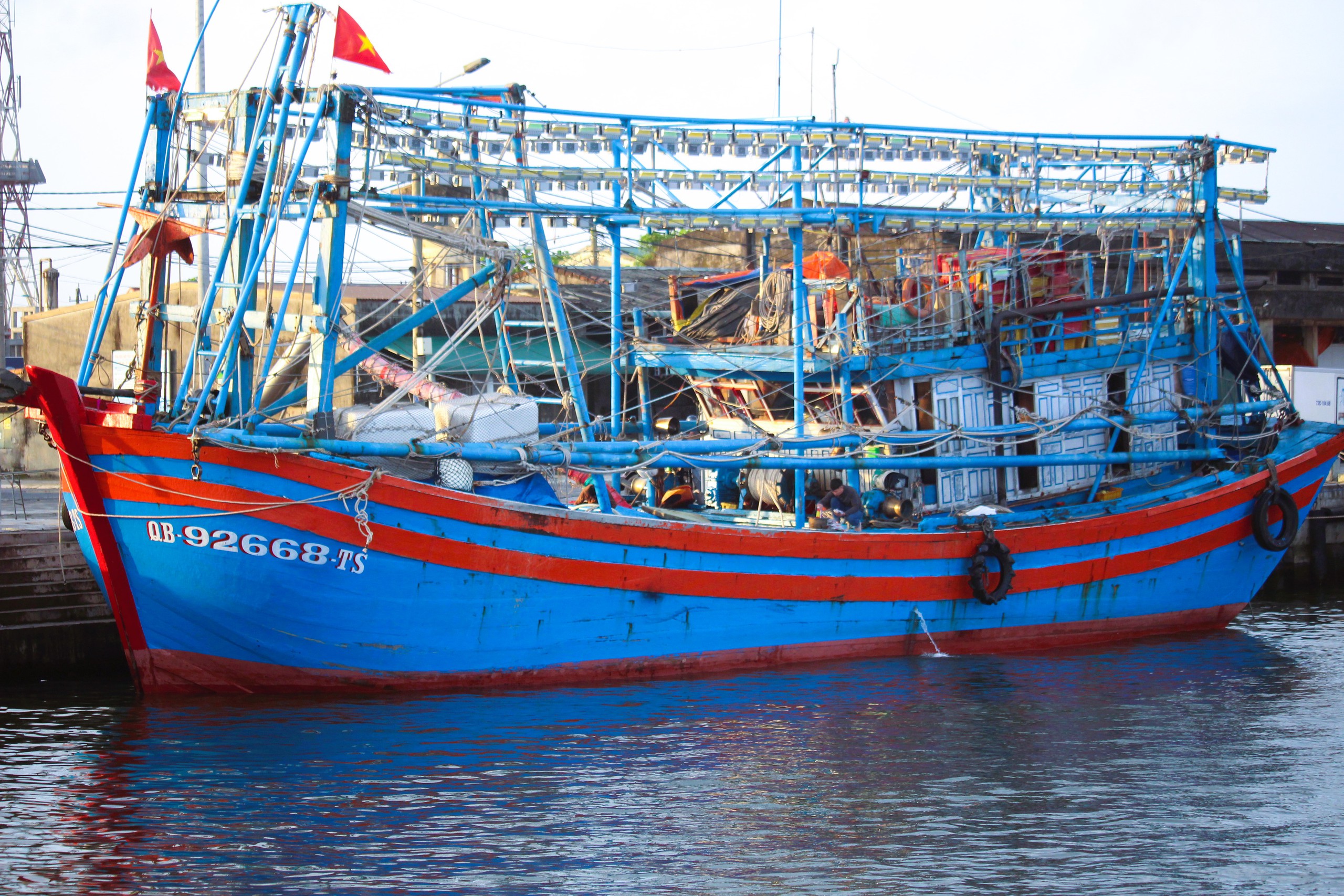 Ngư d&acirc;n Quảng Trị vươn khơi, khoang t&agrave;u đầy ắp &ldquo;lộc&rdquo; biển đầu năm- Ảnh 5.