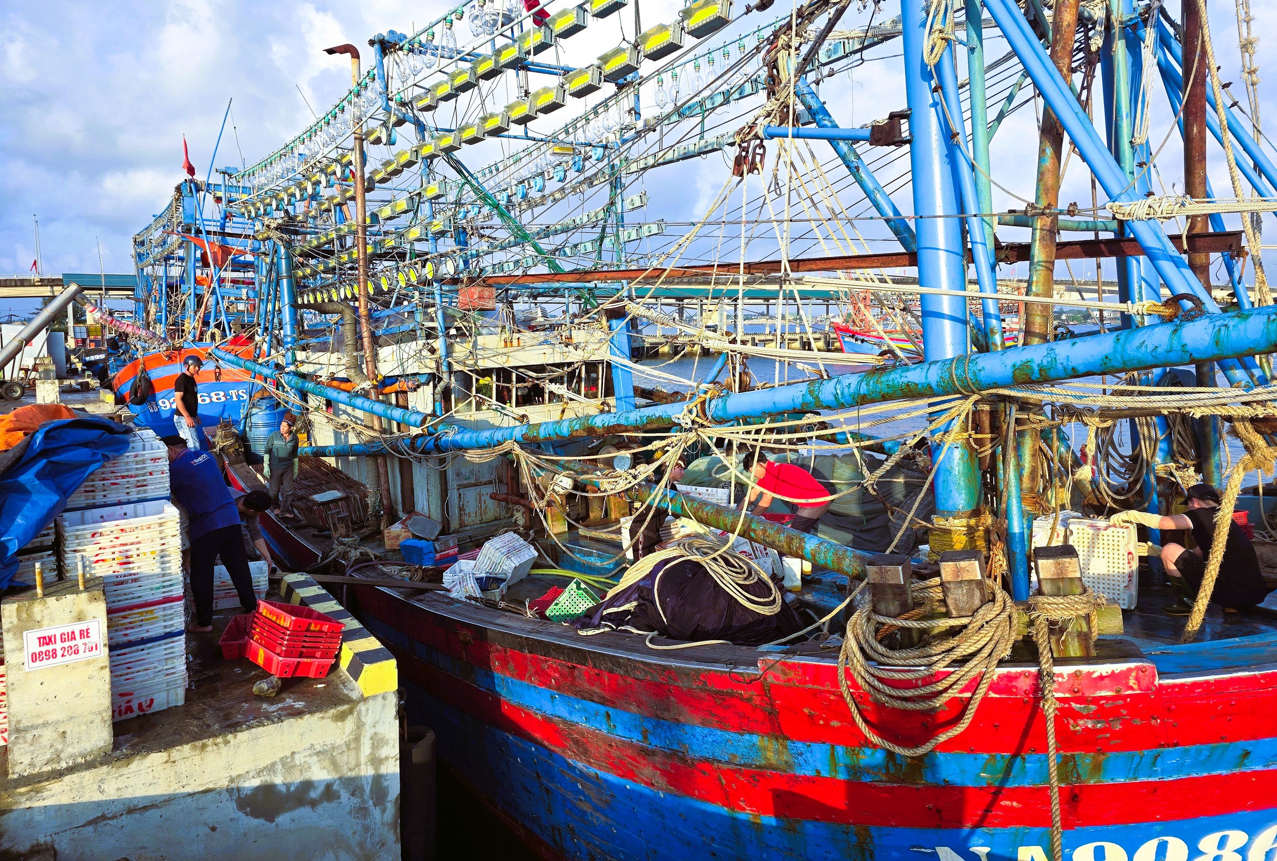 Ngư d&acirc;n Quảng Trị vươn khơi, khoang t&agrave;u đầy ắp &ldquo;lộc&rdquo; biển đầu năm- Ảnh 8.