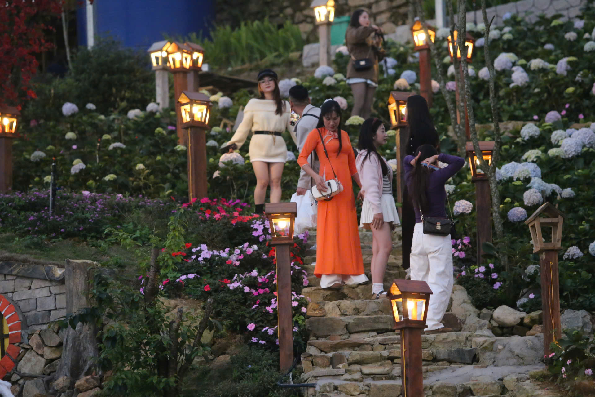 Tam Đảo h&uacute;t kh&aacute;ch ng&agrave;y đầu năm mới B&iacute;nh Ngọ 2026- Ảnh 11.