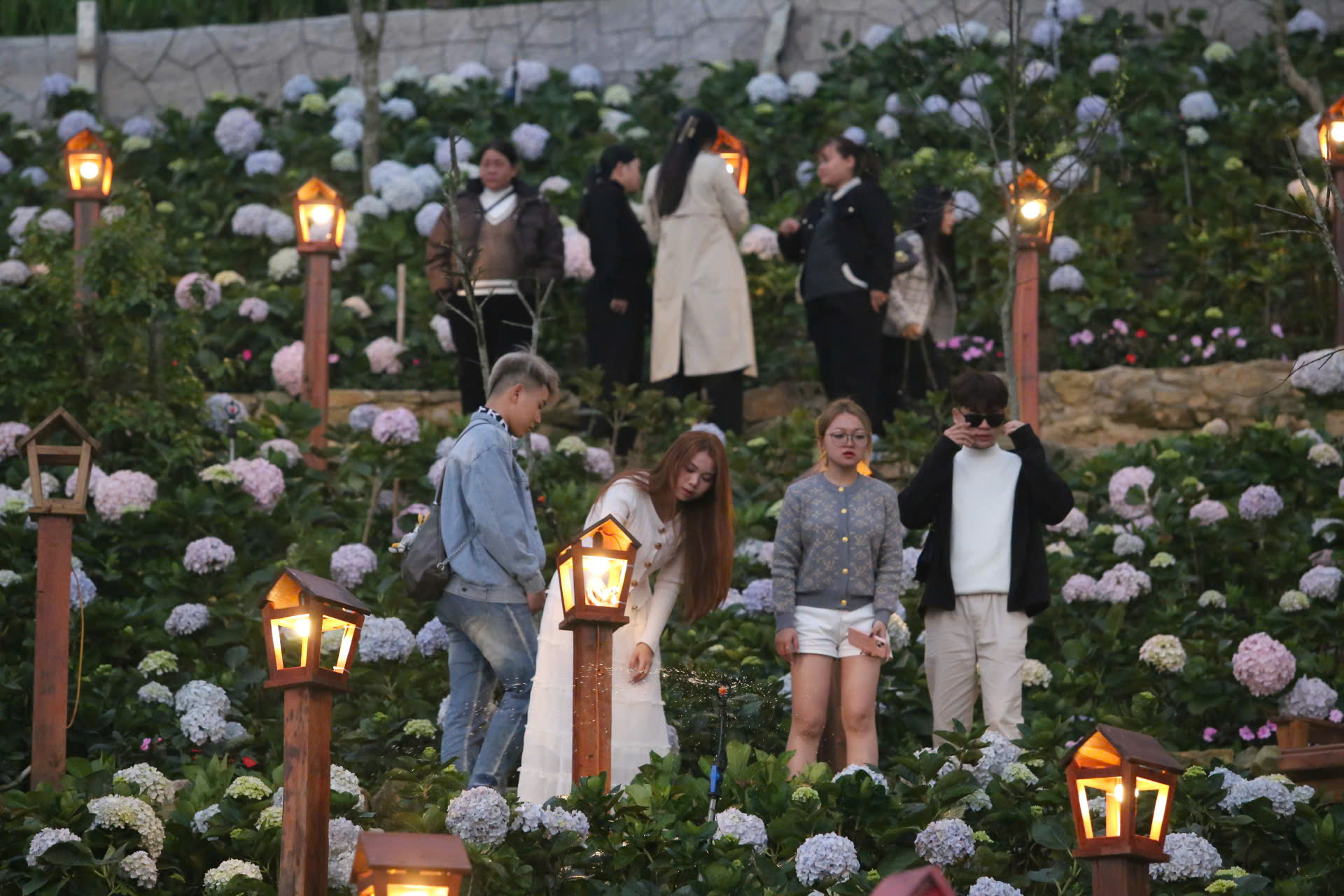 Tam Đảo h&uacute;t kh&aacute;ch ng&agrave;y đầu năm mới B&iacute;nh Ngọ 2026- Ảnh 9.