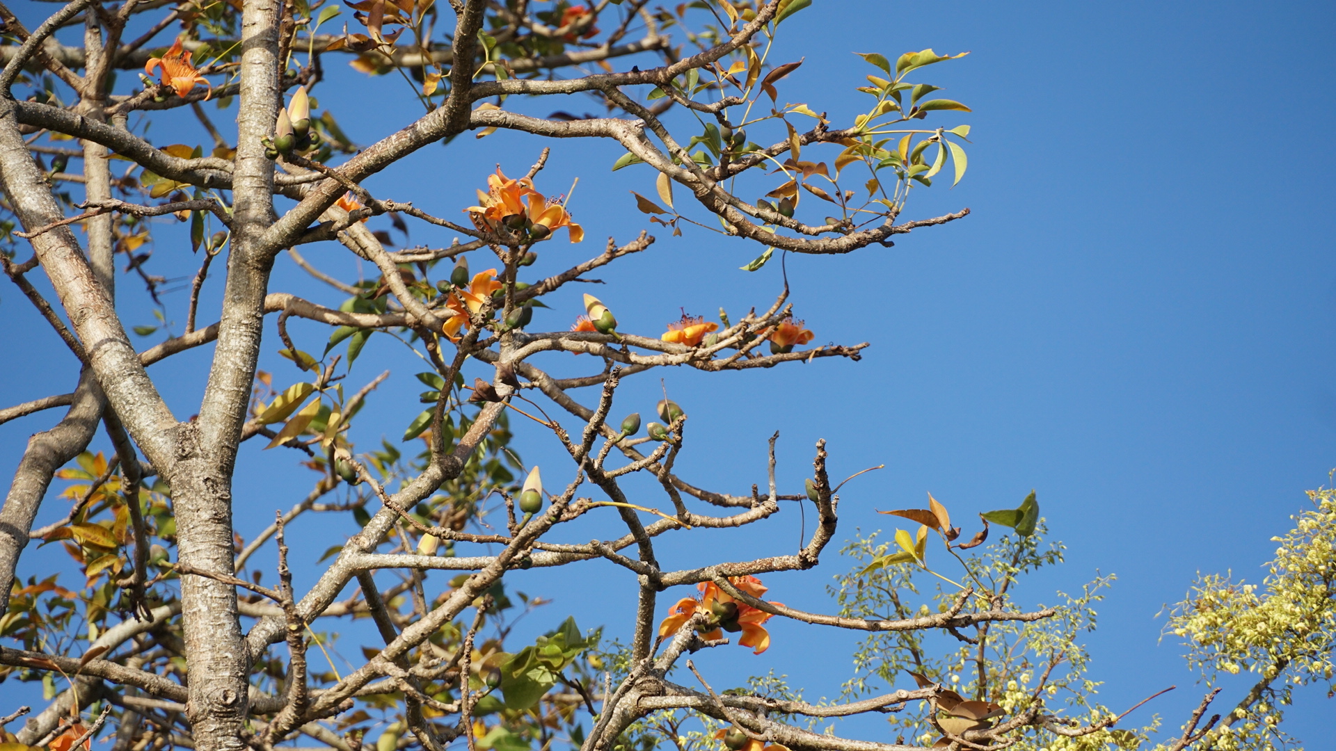 Bữa cơm Tết giản dị của người giữ rừng T&acirc;y Nguy&ecirc;n- Ảnh 8.