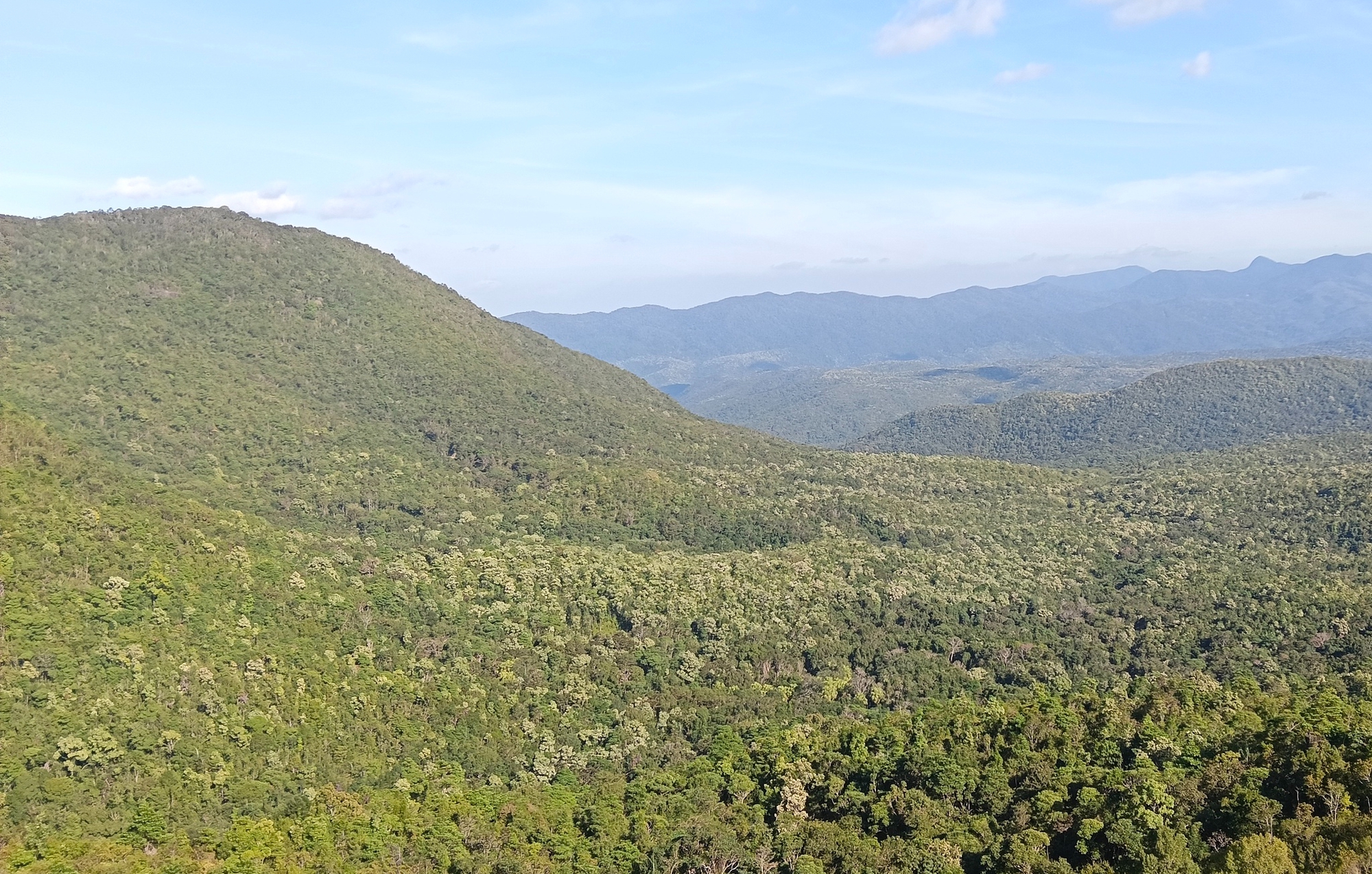 Bữa cơm Tết giản dị của người giữ rừng T&acirc;y Nguy&ecirc;n- Ảnh 9.