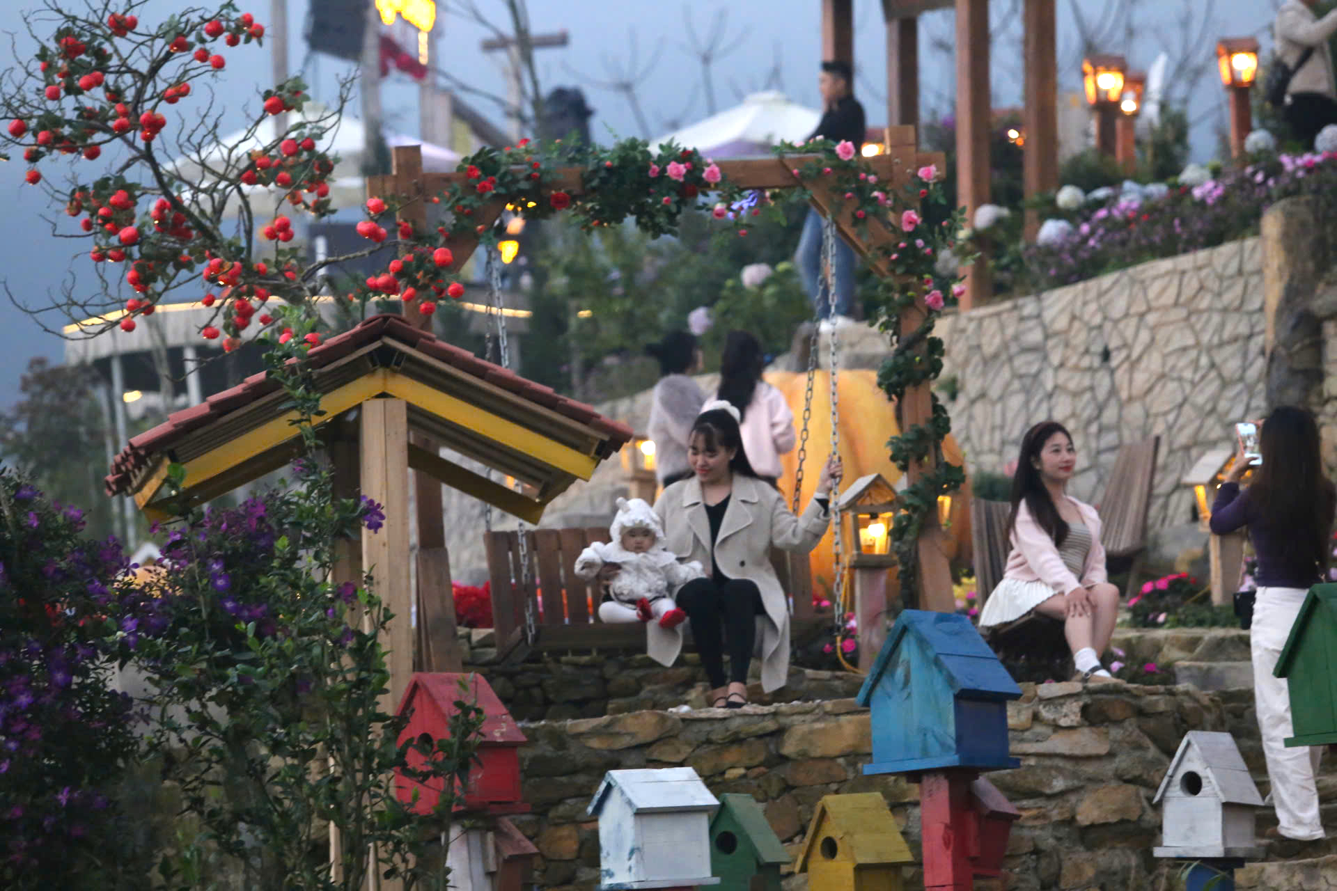 Tam Đảo h&uacute;t kh&aacute;ch ng&agrave;y đầu năm mới B&iacute;nh Ngọ 2026- Ảnh 8.