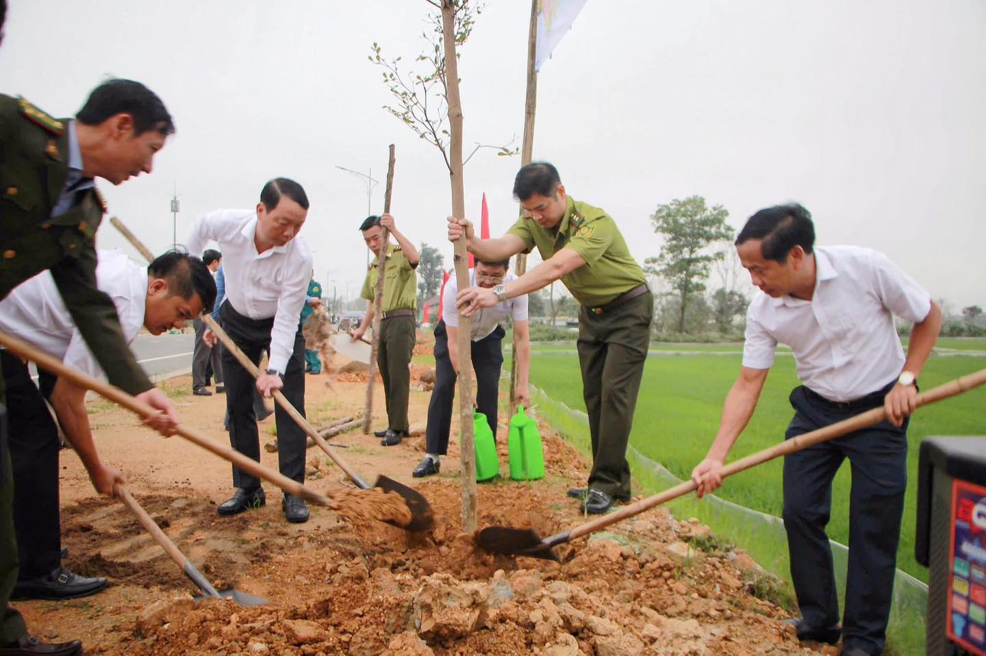 H&agrave; Tĩnh: Trồng khoảng 2,2 triệu c&acirc;y xanh cải thiện m&ocirc;i trường trong năm 2026- Ảnh 1.