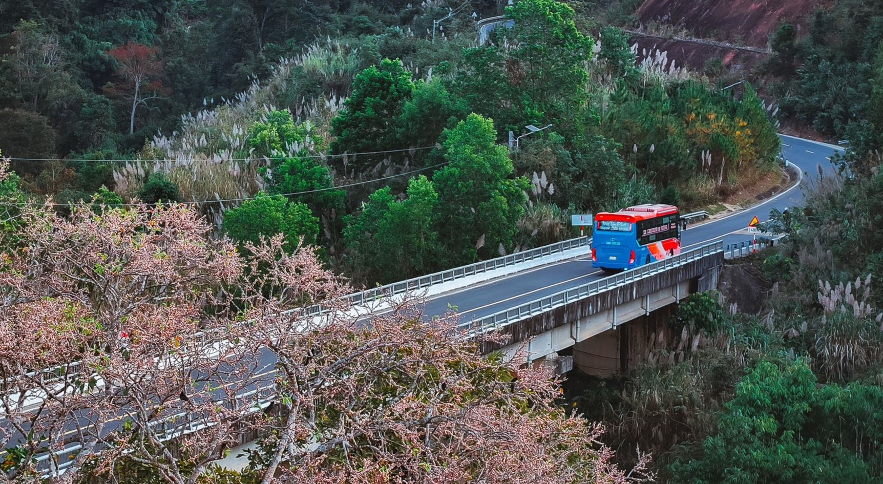 Độc đ&aacute;o t&aacute;n l&aacute; rừng gi&agrave; đường l&ecirc;n Măng Đen đổi m&agrave;u sang xu&acirc;n- Ảnh 1.