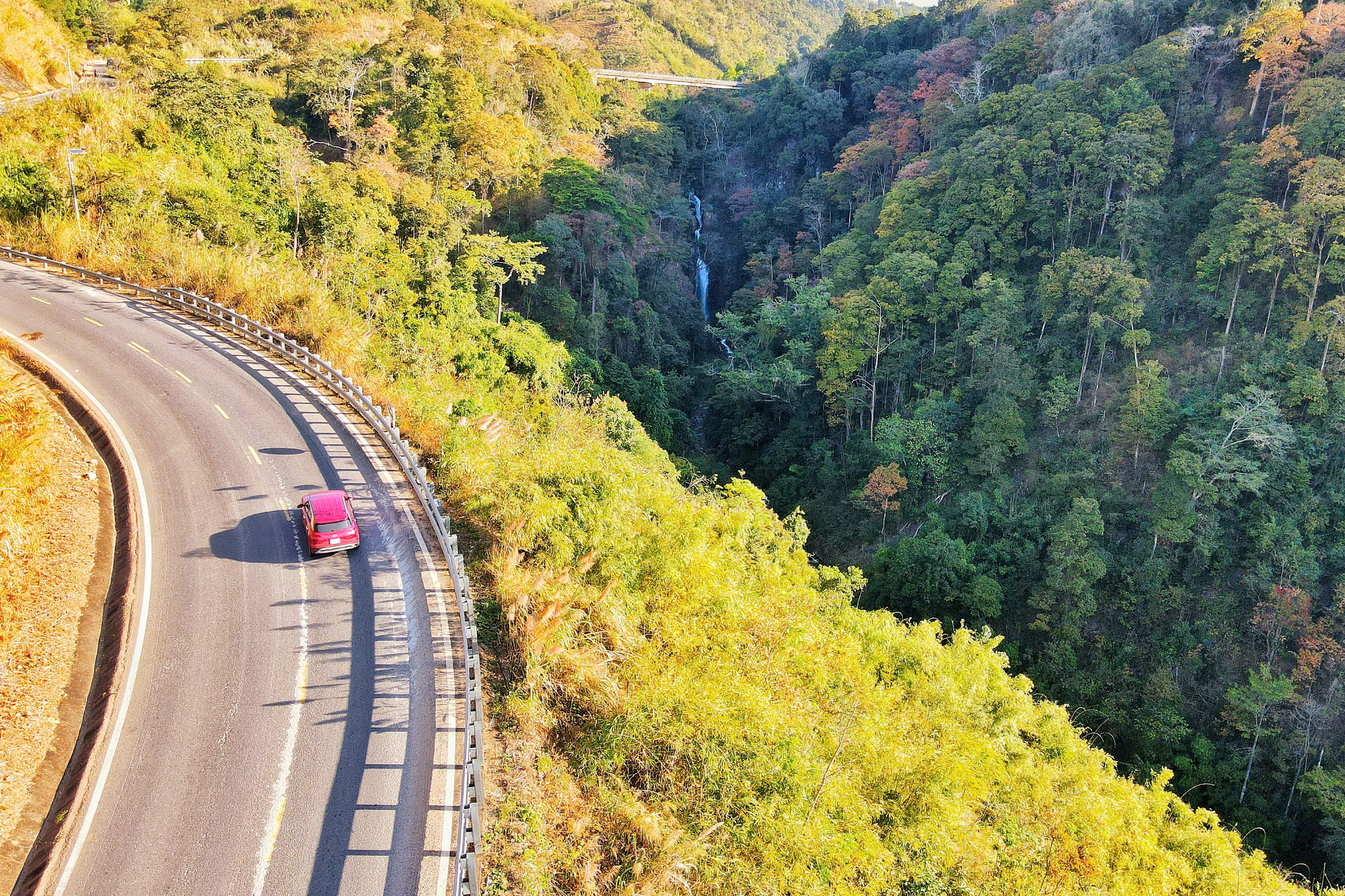 Độc đ&aacute;o t&aacute;n l&aacute; rừng gi&agrave; đường l&ecirc;n Măng Đen đổi m&agrave;u sang xu&acirc;n- Ảnh 8.