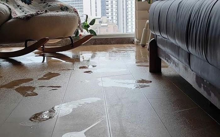 Nồm ẩm sau Tết ở miền Bắc: C&aacute;ch giữ nh&agrave; kh&ocirc; r&aacute;o, hạn chế nấm mốc