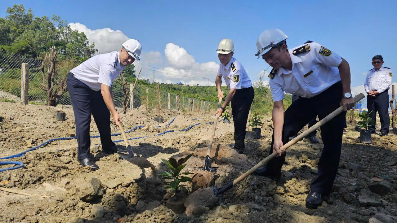 Ph&aacute;t động trồng h&agrave;ng triệu c&acirc;y xanh cải thiện m&ocirc;i trường tại Kh&aacute;nh H&ograve;a v&agrave; TP Huế- Ảnh 4.