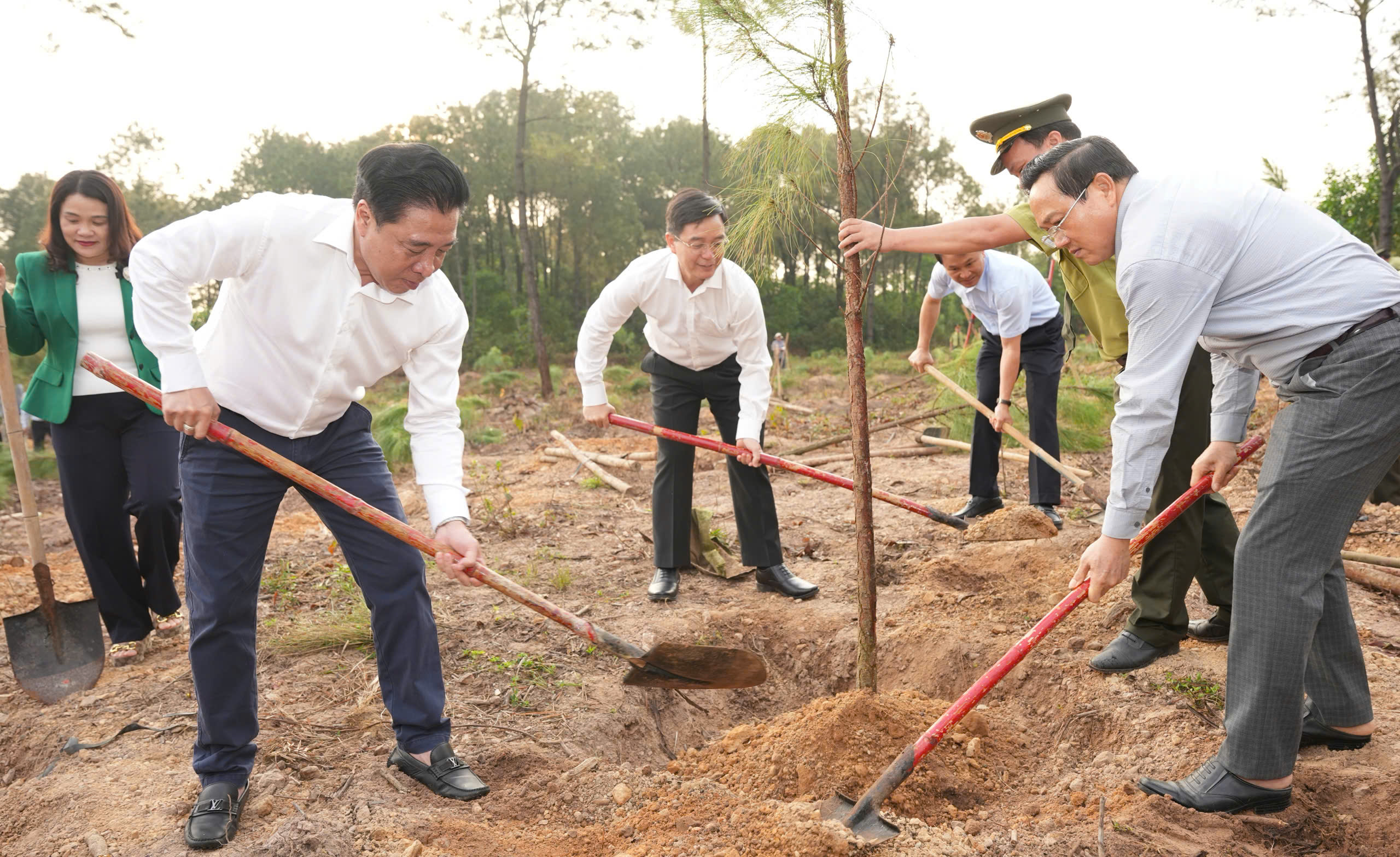 Ph&aacute;t động trồng h&agrave;ng triệu c&acirc;y xanh cải thiện m&ocirc;i trường tại Kh&aacute;nh H&ograve;a v&agrave; TP Huế- Ảnh 2.