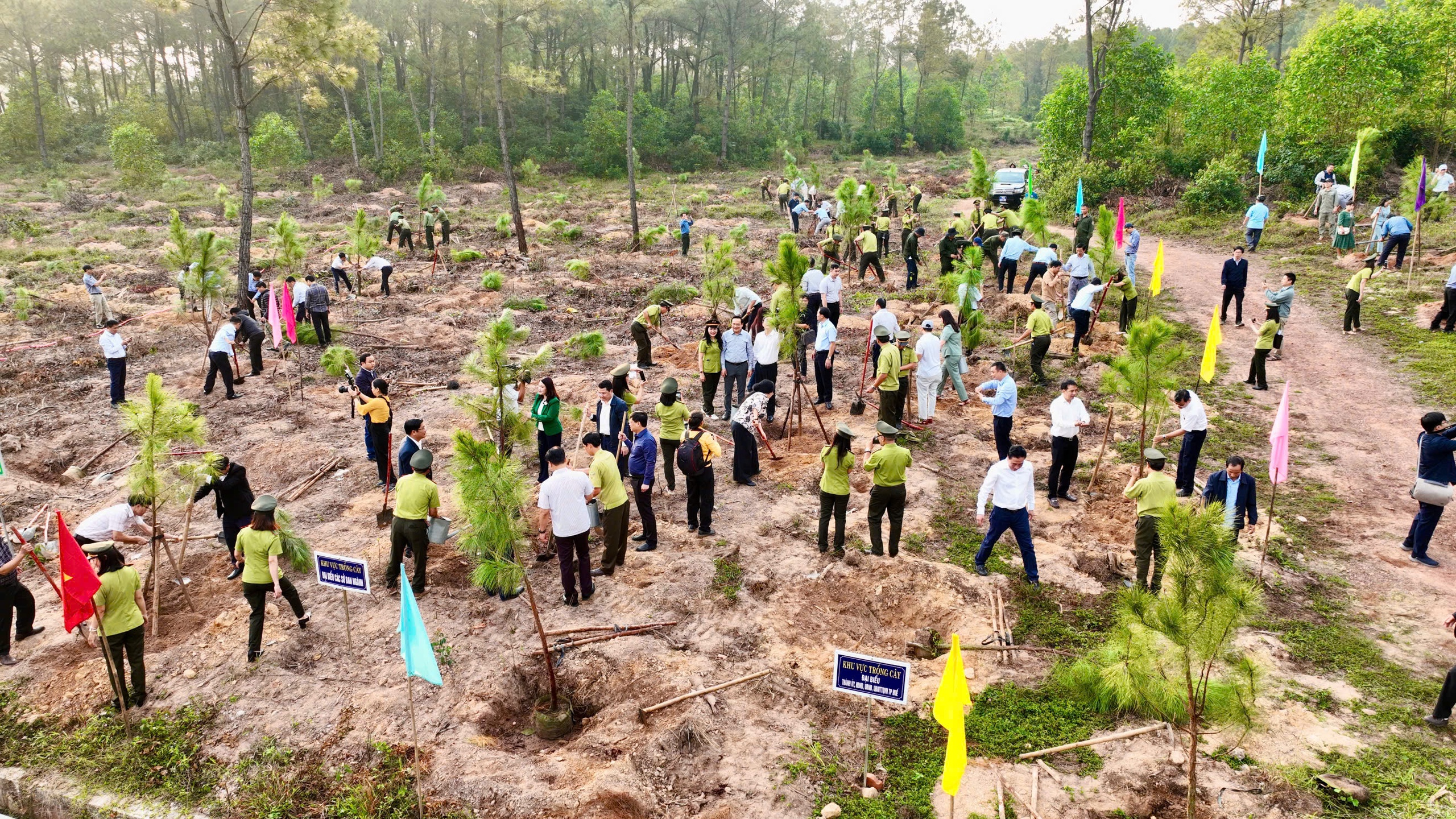 Ph&aacute;t động trồng h&agrave;ng triệu c&acirc;y xanh cải thiện m&ocirc;i trường tại Kh&aacute;nh H&ograve;a v&agrave; TP Huế- Ảnh 3.