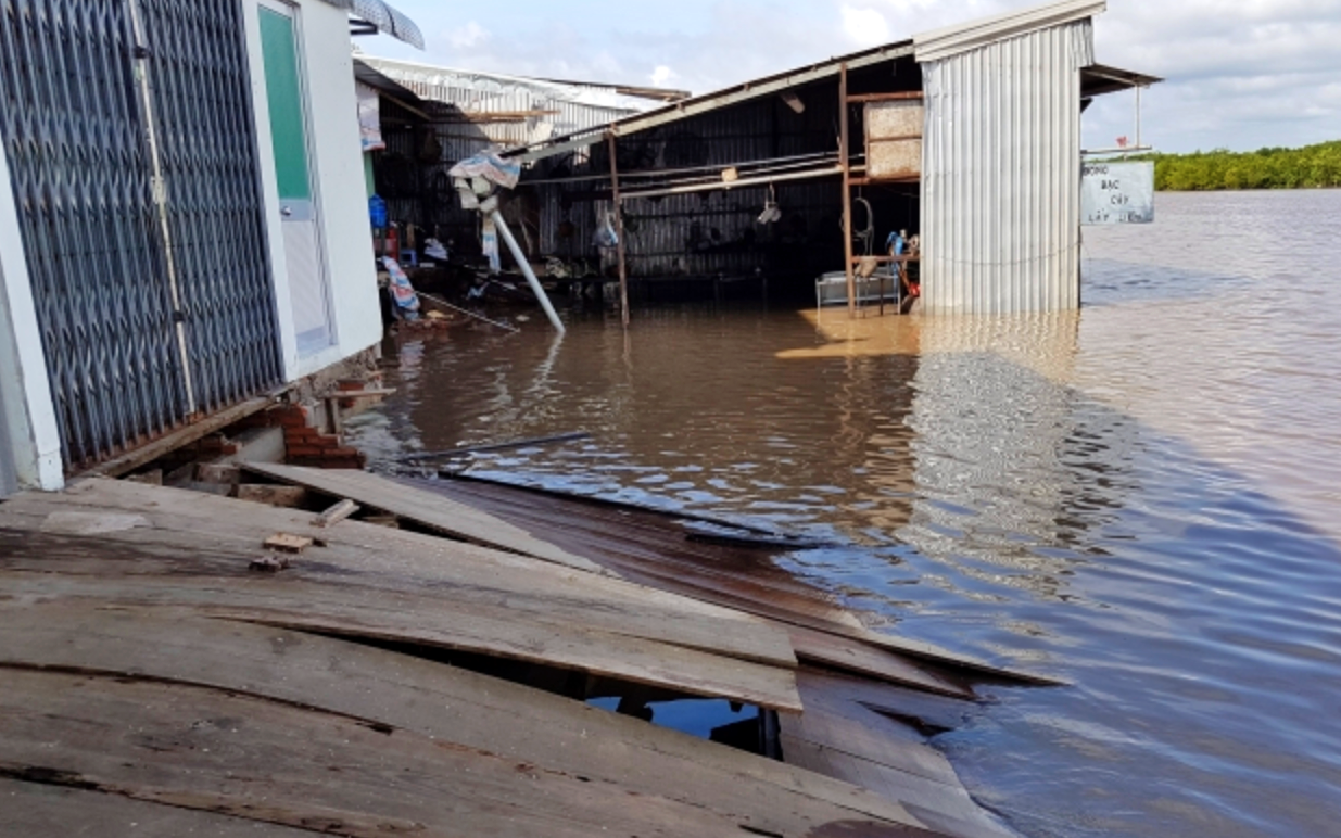 Gần 150 tỷ đồng x&acirc;y k&egrave; chống sạt lở khu d&acirc;n cư thị trấn Năm Căn ở C&agrave; Mau