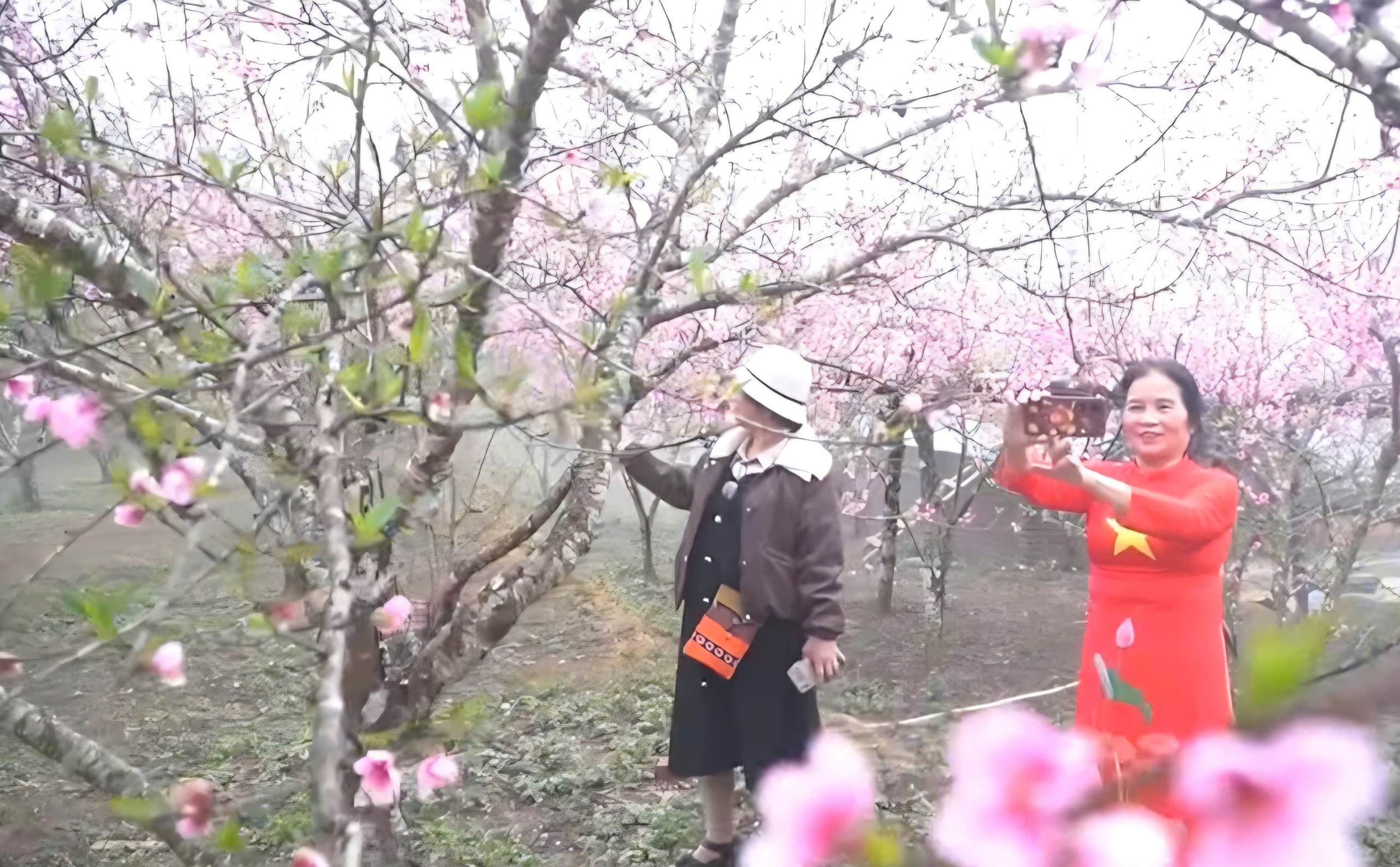 Độc đ&aacute;o phi&ecirc;n chợ v&ugrave;ng cao Sin Suối Hồ h&uacute;t kh&aacute;ch du lịch- Ảnh 2.