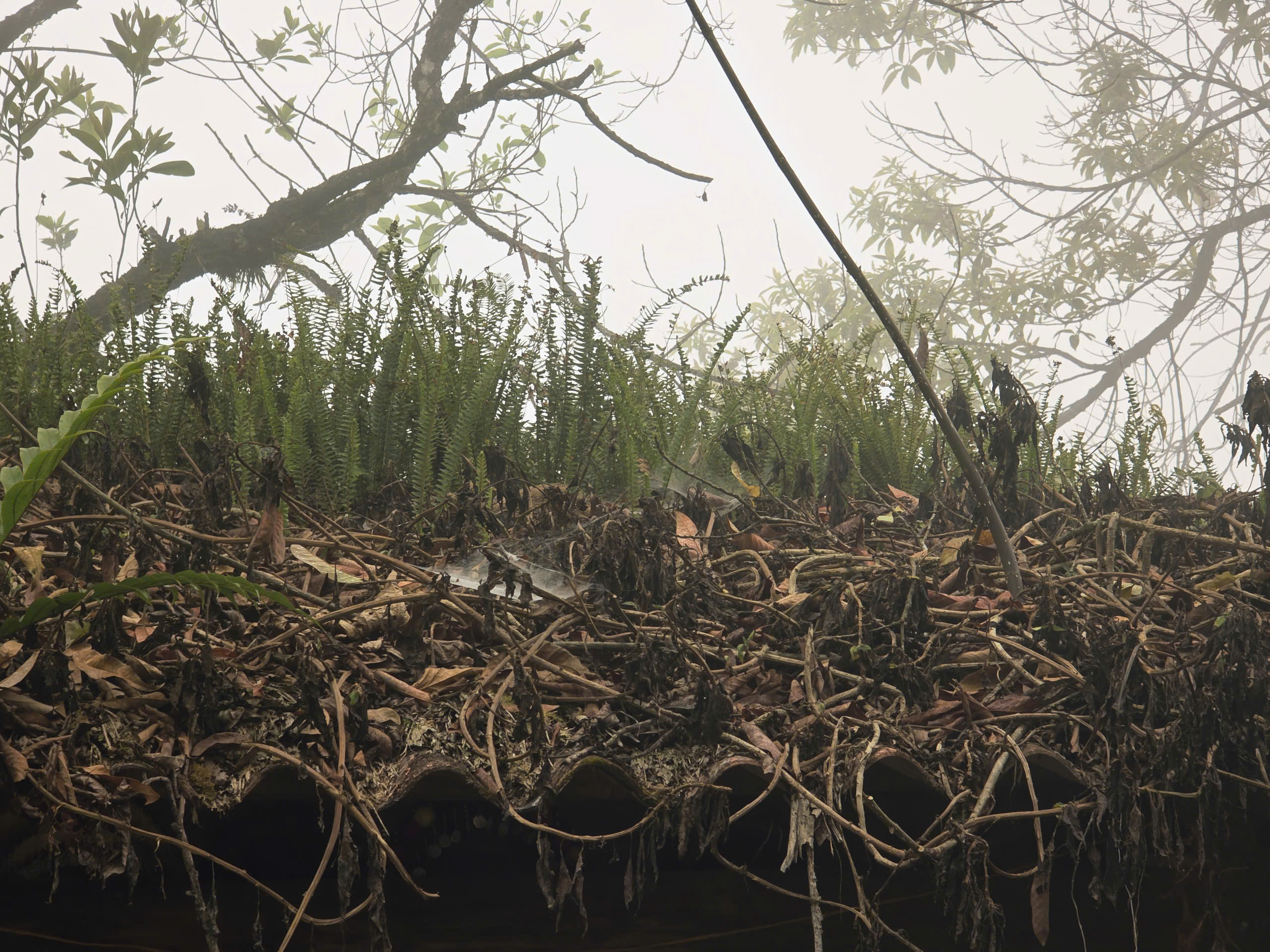 Độc đ&aacute;o phi&ecirc;n chợ v&ugrave;ng cao Sin Suối Hồ h&uacute;t kh&aacute;ch du lịch- Ảnh 17.