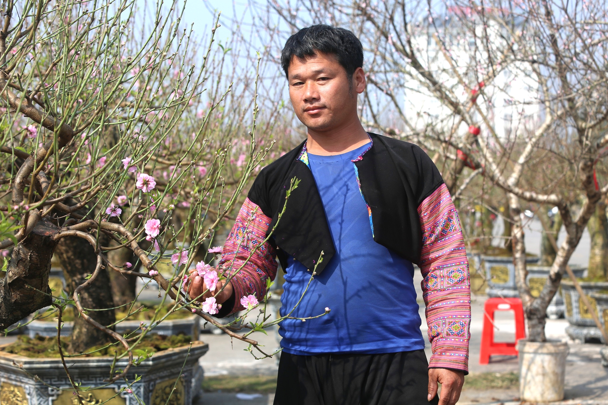 Nhộn nhịp thị trường cây cảnh ngày giáp Tết ở Thanh Hóa- Ảnh 7. Nhộn nhịp thị trường cây cảnh ngày giáp Tết ở Thanh Hóa- Ảnh 7.