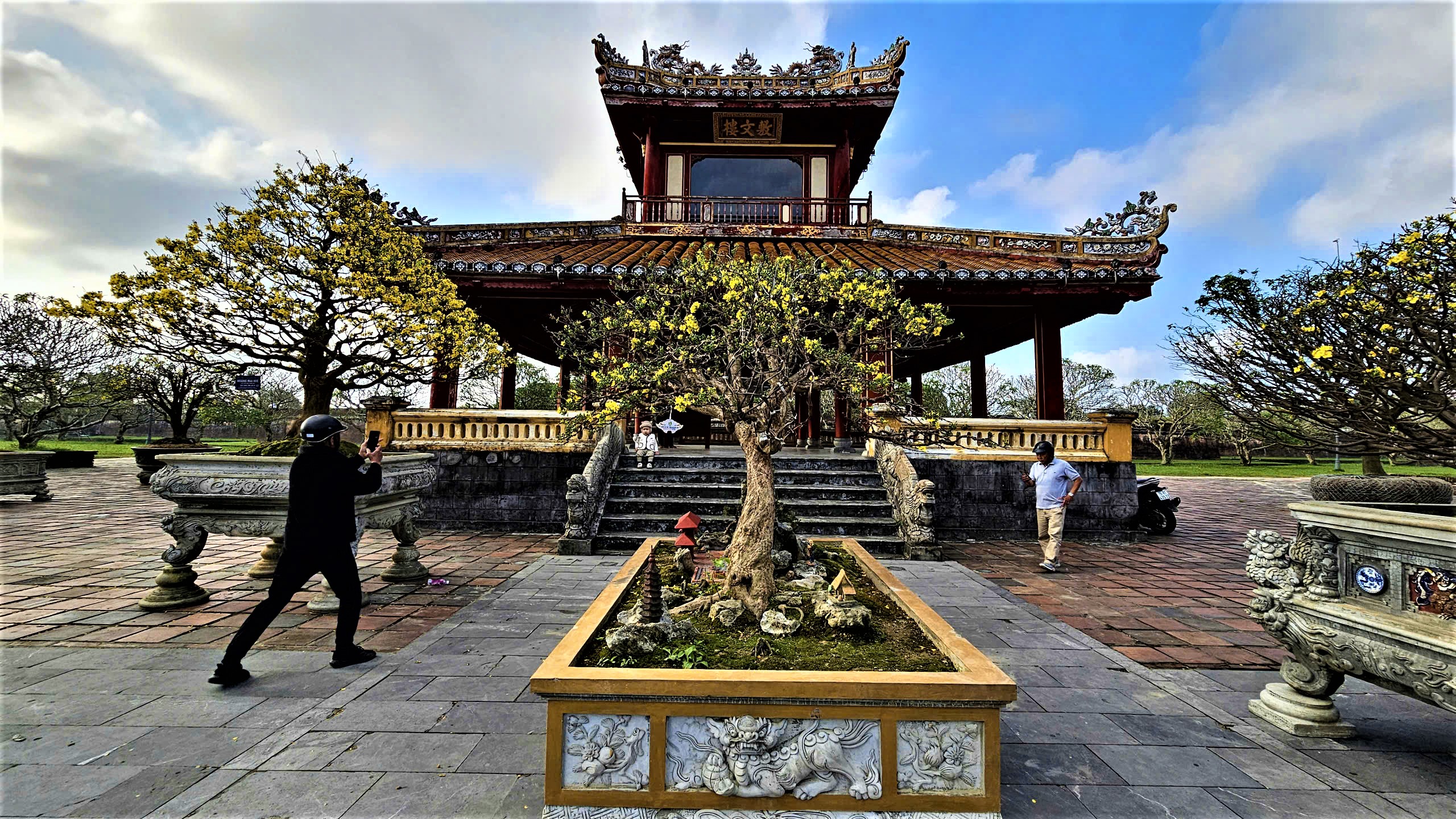 Ngắm hoàng mai Huế rực rỡ khoe sắc đón tết Bính Ngọ 2026- Ảnh 14. Ngắm hoàng mai Huế rực rỡ khoe sắc đón tết Bính Ngọ 2026- Ảnh 14.