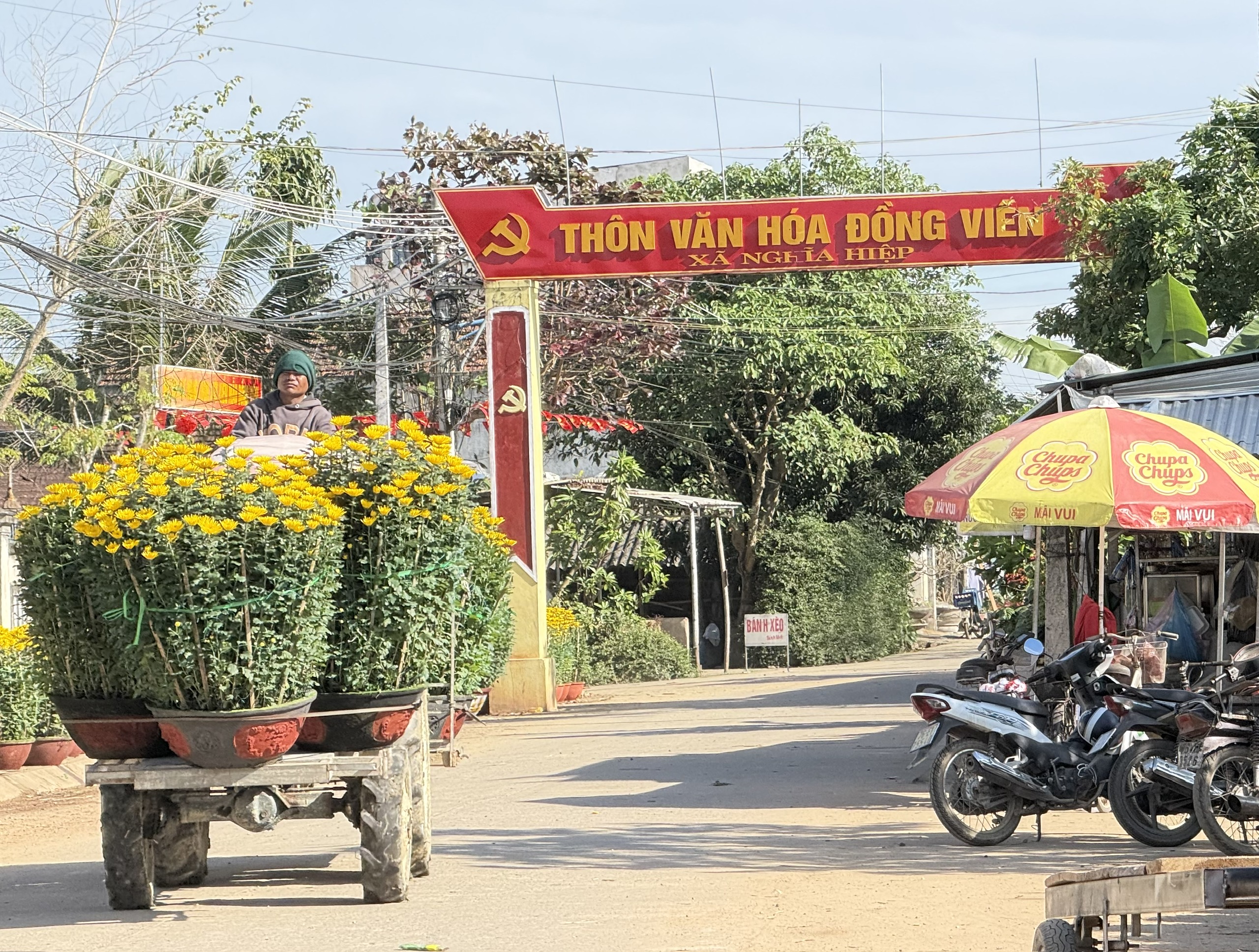 Cận cảnh l&agrave;ng hoa c&uacute;c lớn nhất miền Trung rộn r&agrave;ng ng&agrave;y cận Tết- Ảnh 6.