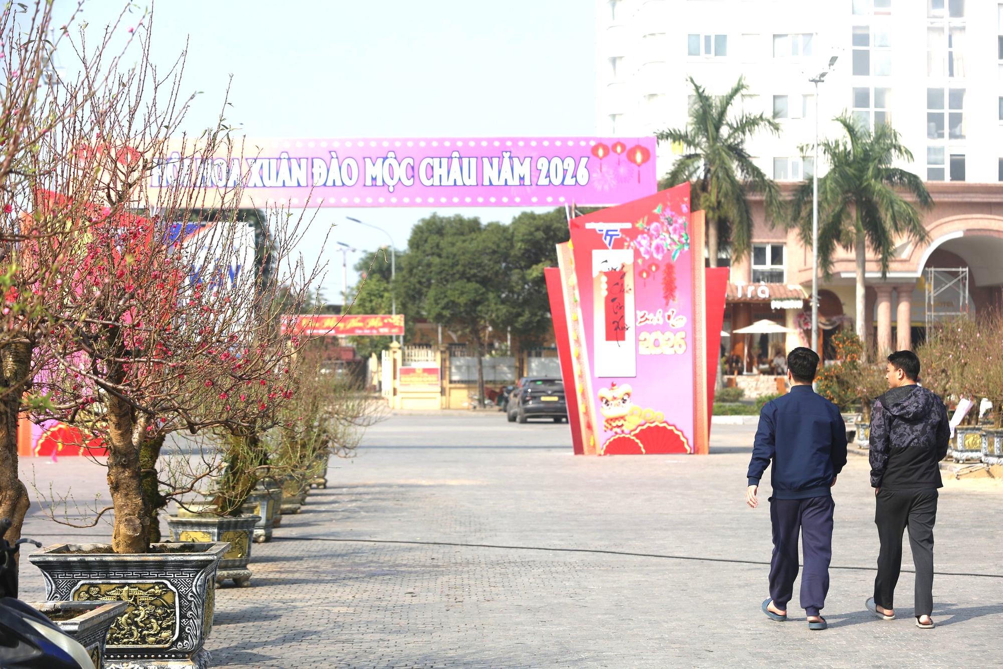 Nhộn nhịp thị trường cây cảnh ngày giáp Tết ở Thanh Hóa- Ảnh 1. Nhộn nhịp thị trường cây cảnh ngày giáp Tết ở Thanh Hóa- Ảnh 1.