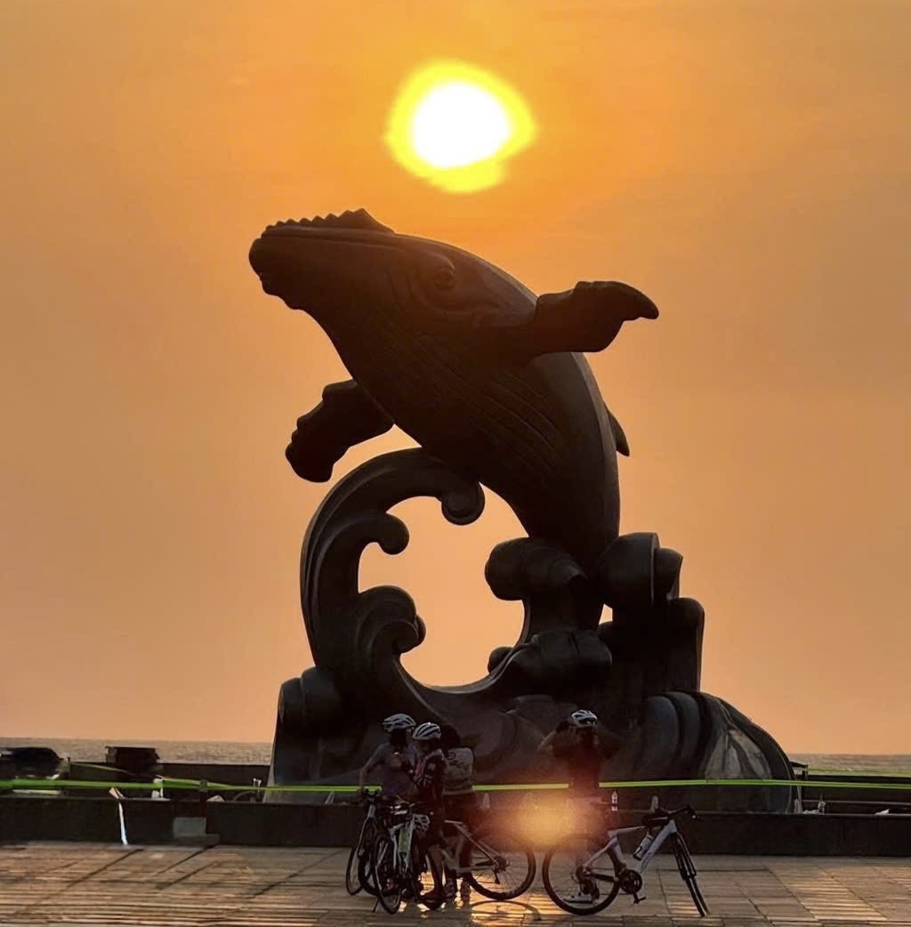 Cá Ông vươn mình - biểu tượng mới làm đẹp diện mạo phố biển Vũng Tàu- Ảnh 3. Cá Ông vươn mình - biểu tượng mới làm đẹp diện mạo phố biển Vũng Tàu- Ảnh 3.