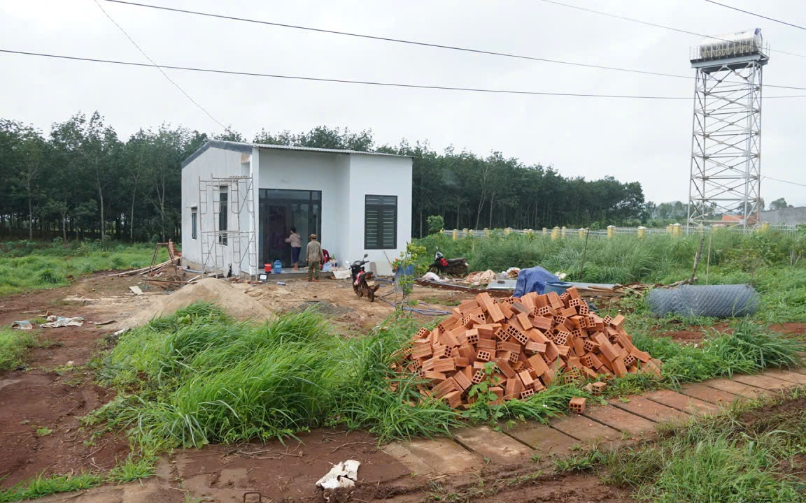 Gia Lai: Hơn 150 tác phẩm mai vàng khoe sắc tại Lễ hội mai vàng An Nhơn Đông 2026- Ảnh 4. Gia Lai: Hơn 100 hộ dân di cư tự do được bố trí ổn định chỗ ở