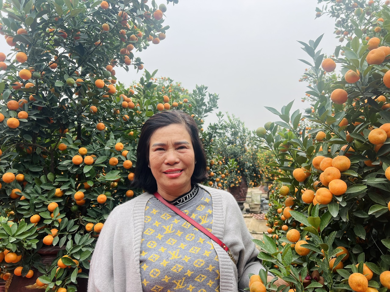 Hà Nội: Làng đào Nhật Tân, quất Tứ Liên tất bật đón khách - Ảnh 19. Hà Nội: Làng đào Nhật Tân, quất Tứ Liên tất bật đón khách - Ảnh 19.