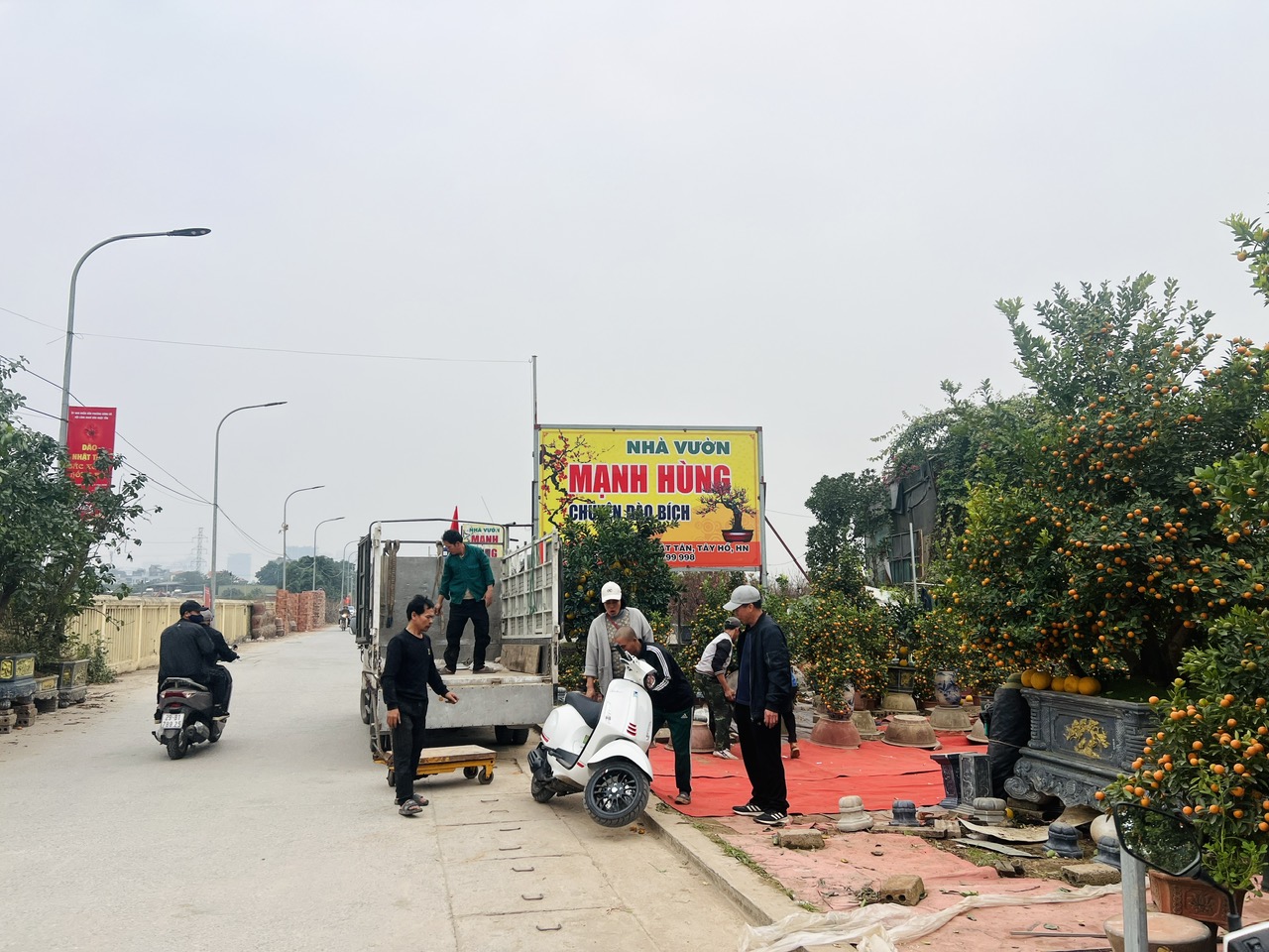 Hà Nội: Làng đào Nhật Tân, quất Tứ Liên tất bật đón khách - Ảnh 8. Hà Nội: Làng đào Nhật Tân, quất Tứ Liên tất bật đón khách - Ảnh 8.