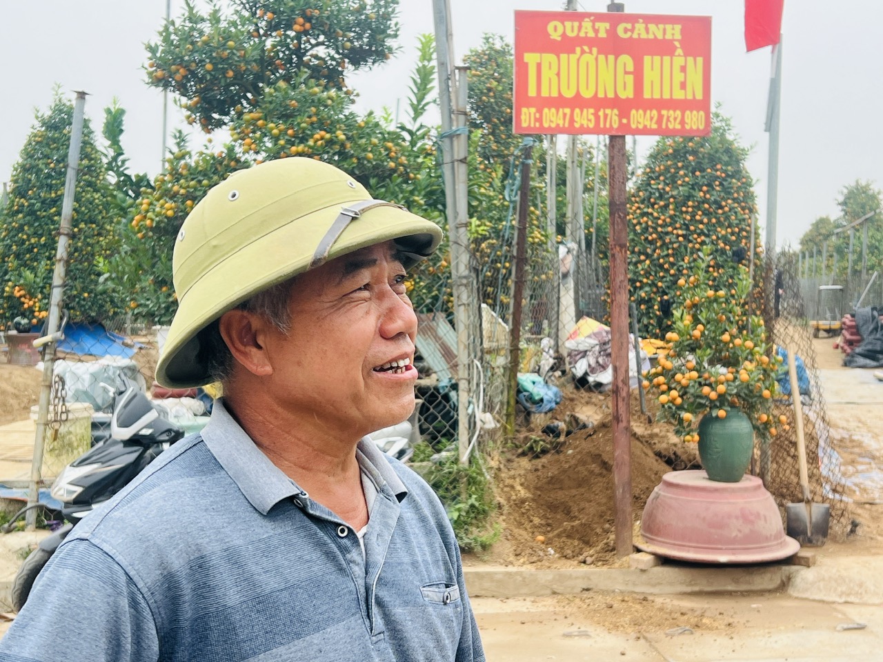 Hà Nội: Làng đào Nhật Tân, quất Tứ Liên tất bật đón khách - Ảnh 11. Hà Nội: Làng đào Nhật Tân, quất Tứ Liên tất bật đón khách - Ảnh 11.