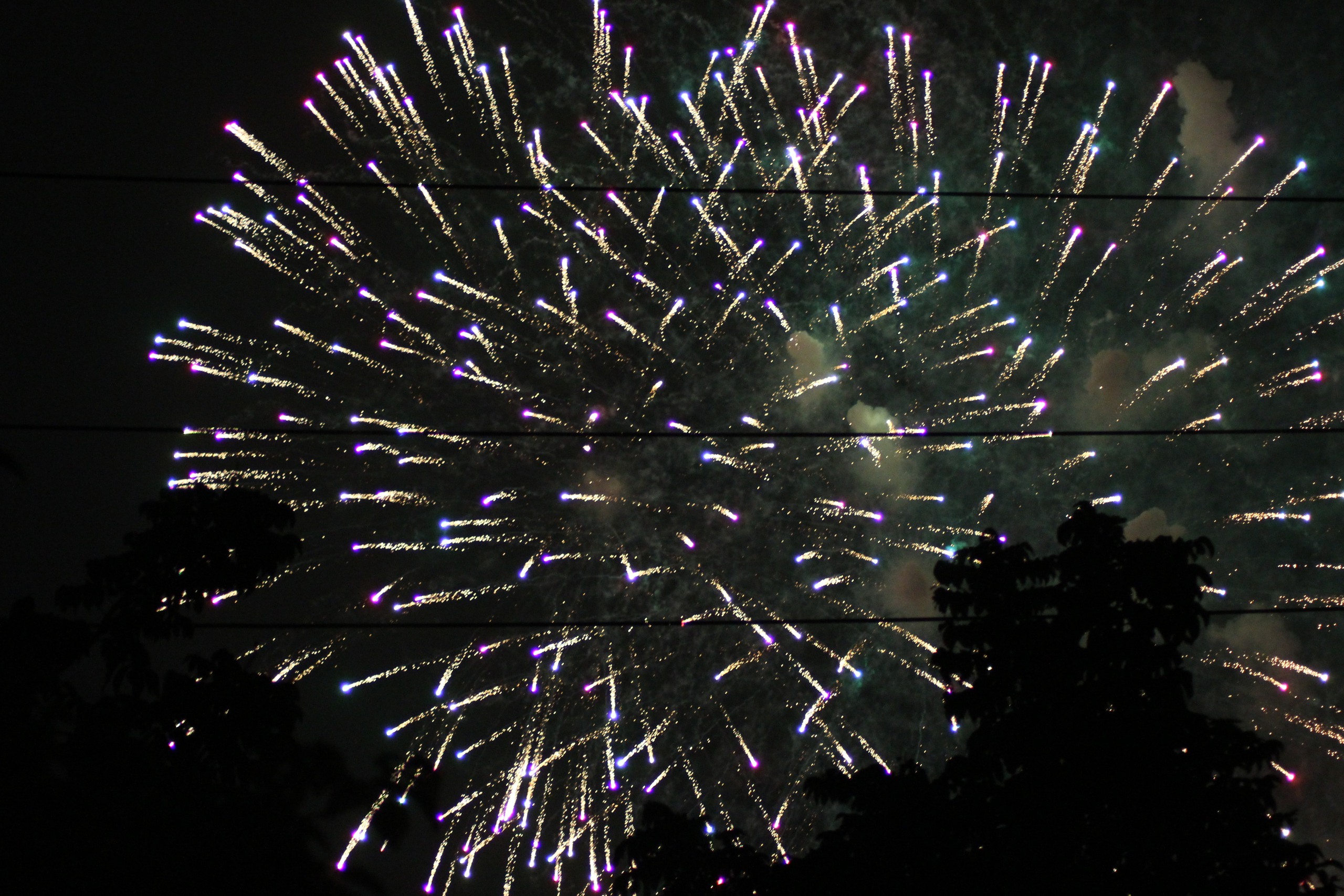 Ấn tượng chương tr&igrave;nh khai mạc lễ hội hoa đ&agrave;o Xứ Lạng 2026- Ảnh 7.